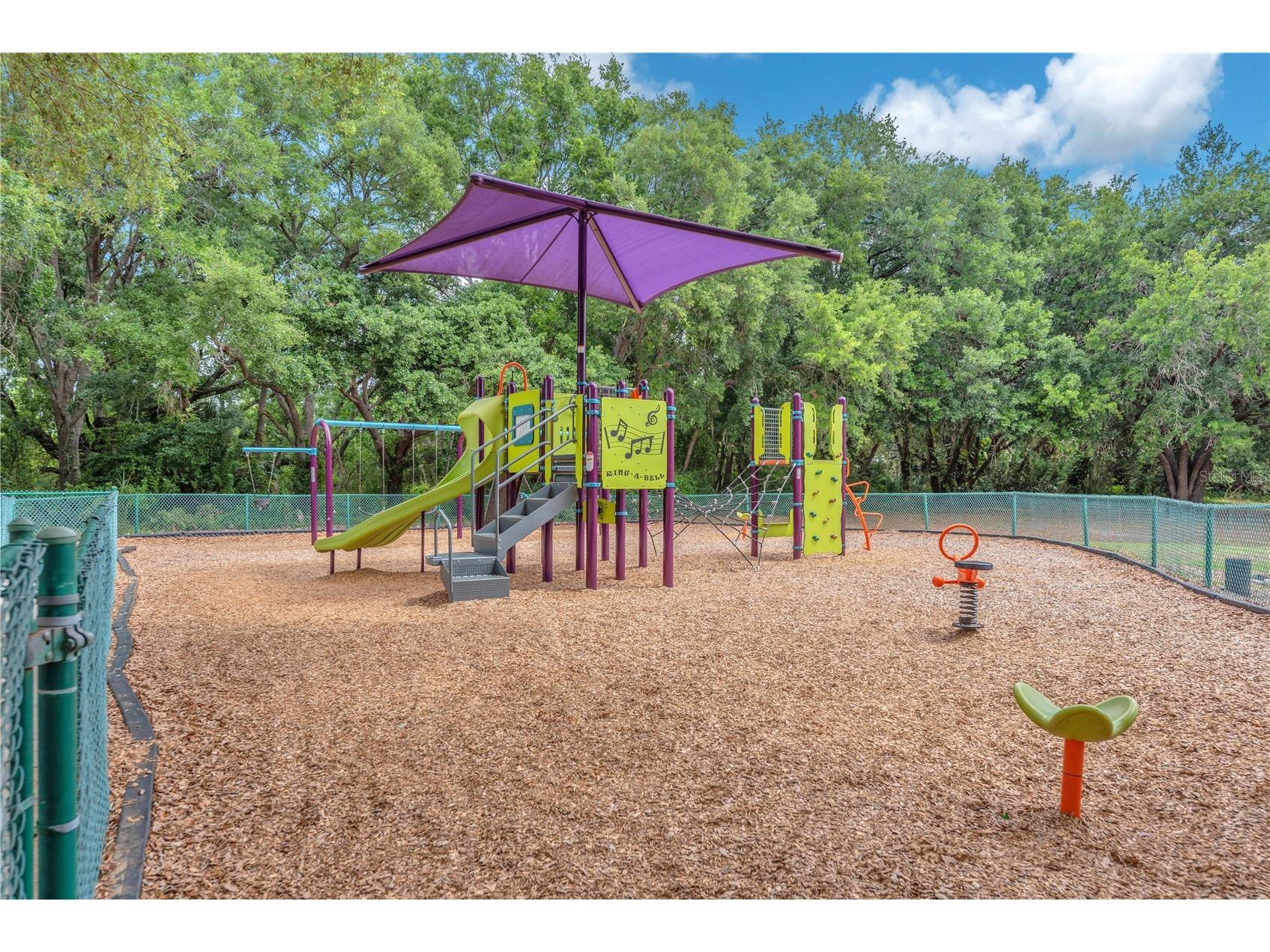 2218 Cattleman Drive Brandon FL 33511 TB8499776 image28