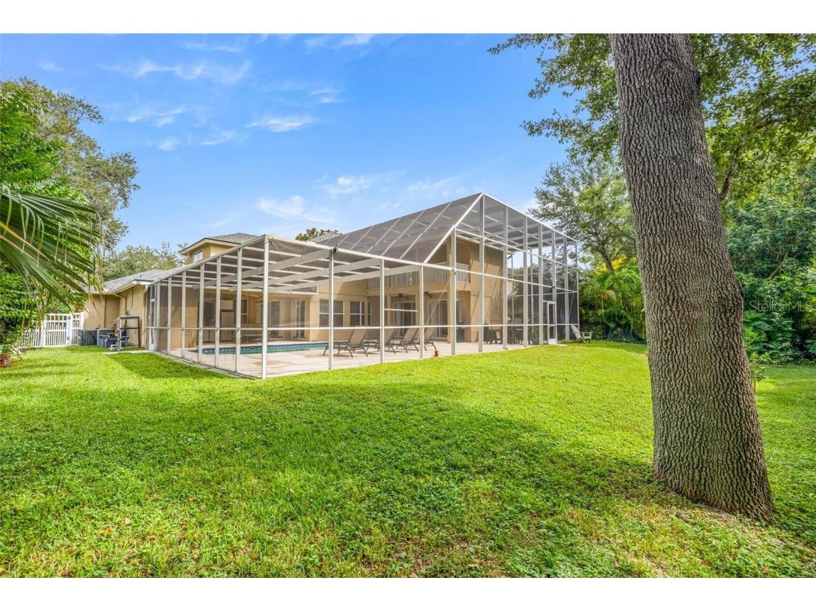 2218 Climbing Ivy Drive Tampa FL 33618 TB8433527 image50