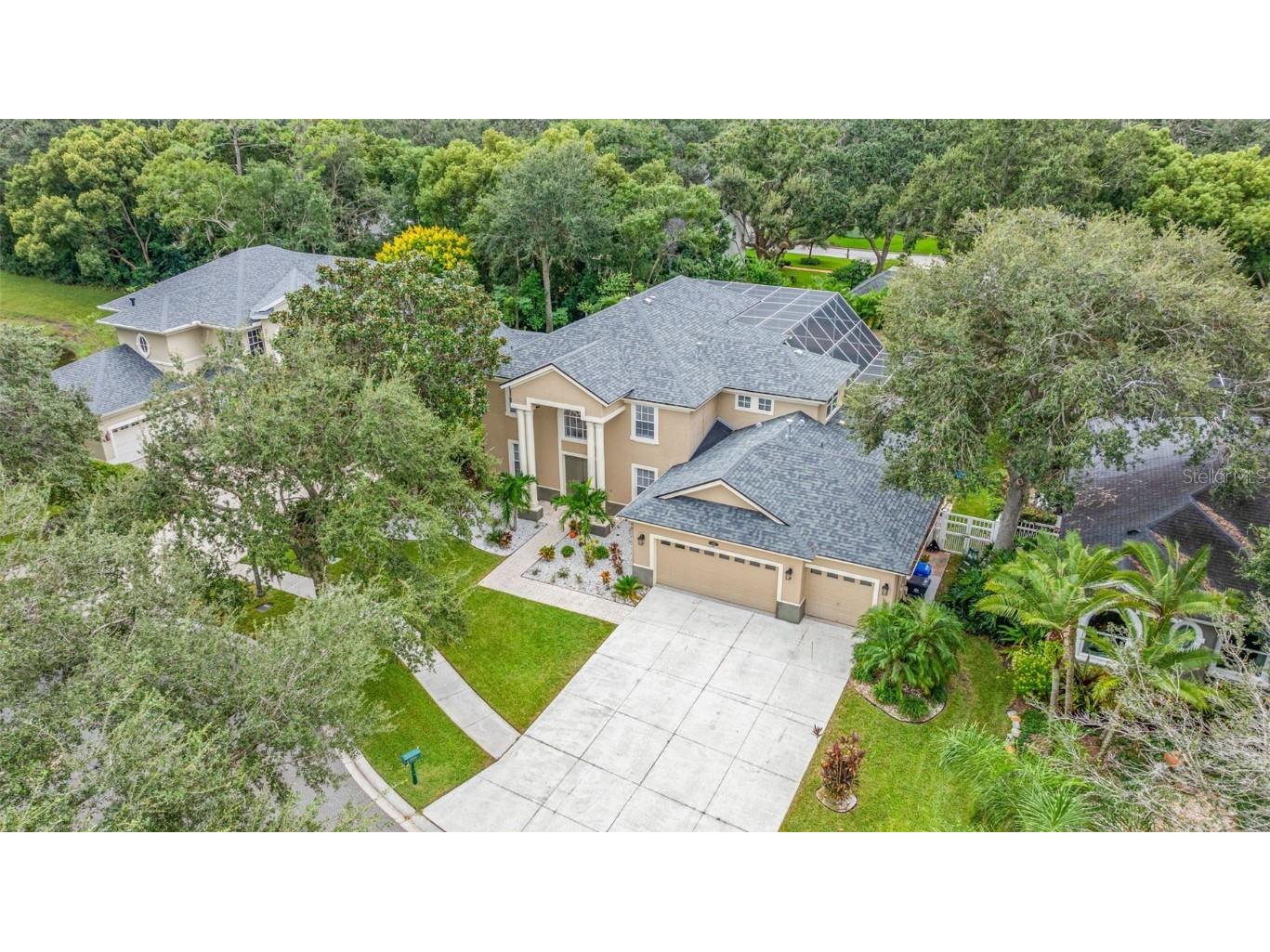 2218 Climbing Ivy Drive Tampa FL 33618 TB8433527 image52