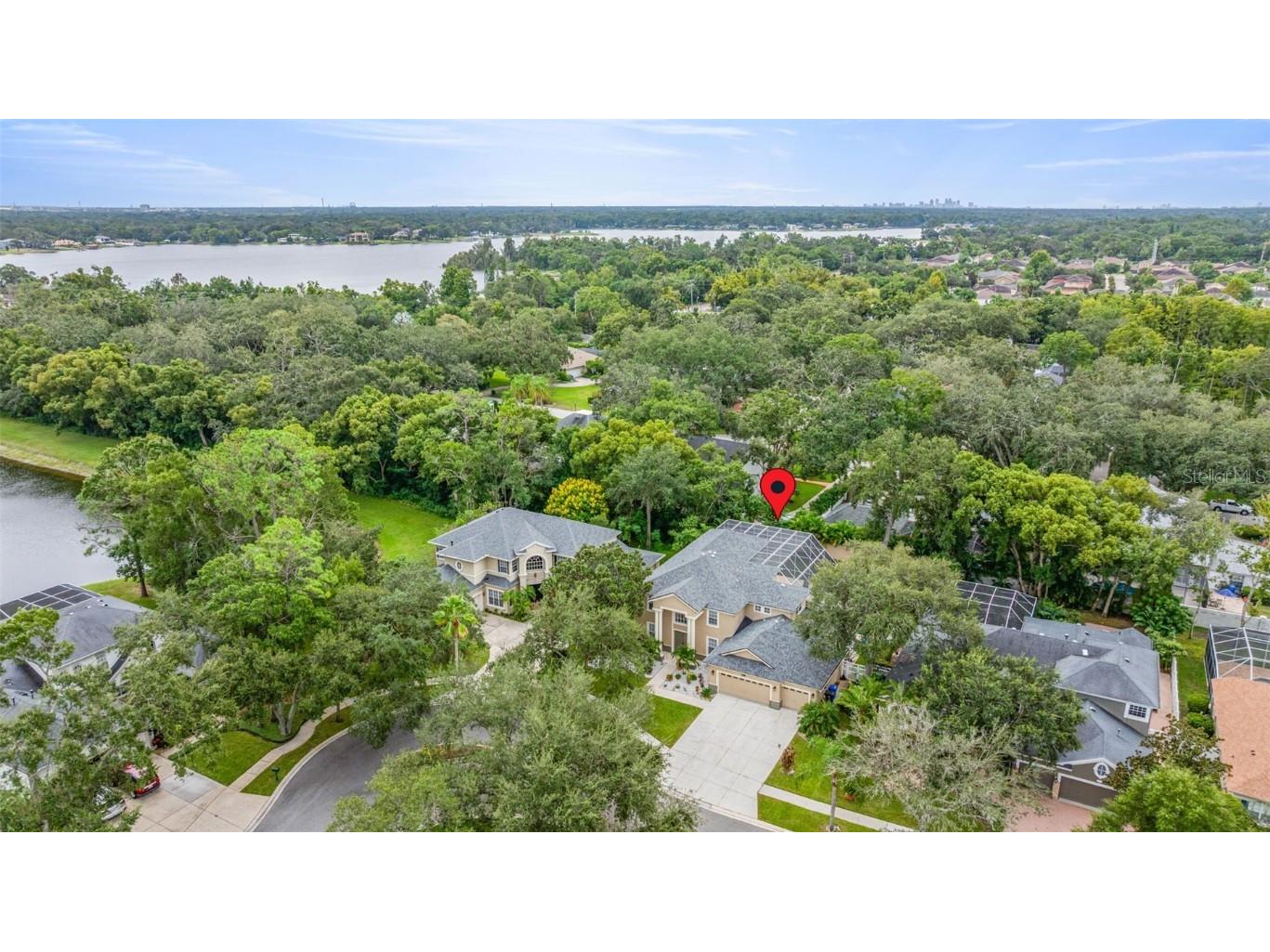 2218 Climbing Ivy Drive Tampa FL 33618 TB8433527 image53