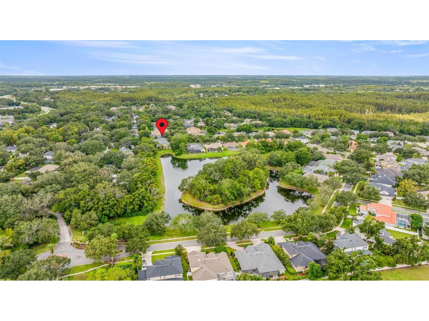 2218 Climbing Ivy Drive Tampa FL 33618 TB8433527 image57