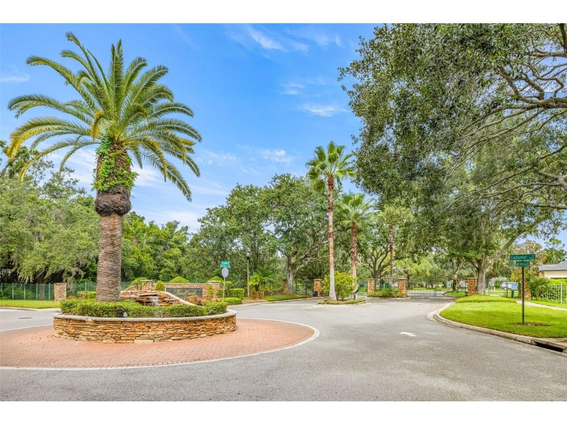 2218 Climbing Ivy Drive Tampa FL 33618 TB8433527 image61