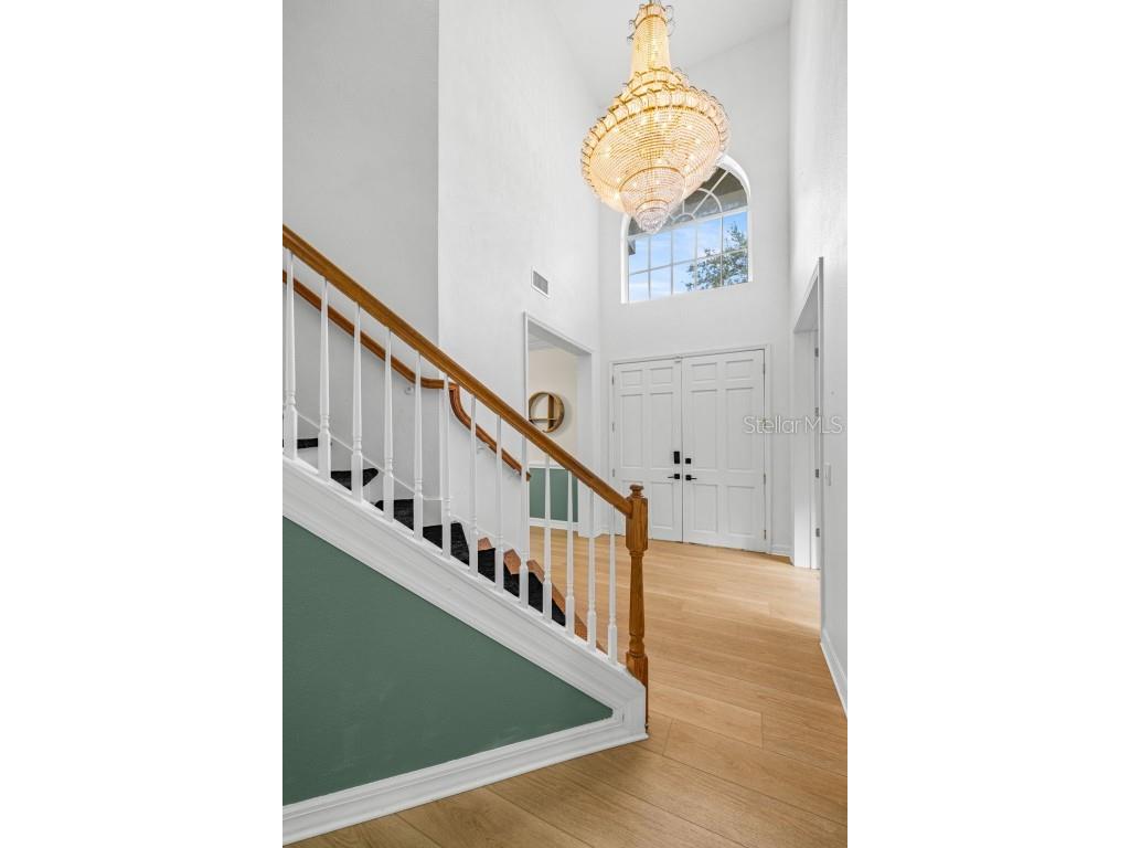 2218 Climbing Ivy Drive Tampa FL 33618 TB8433527 image7