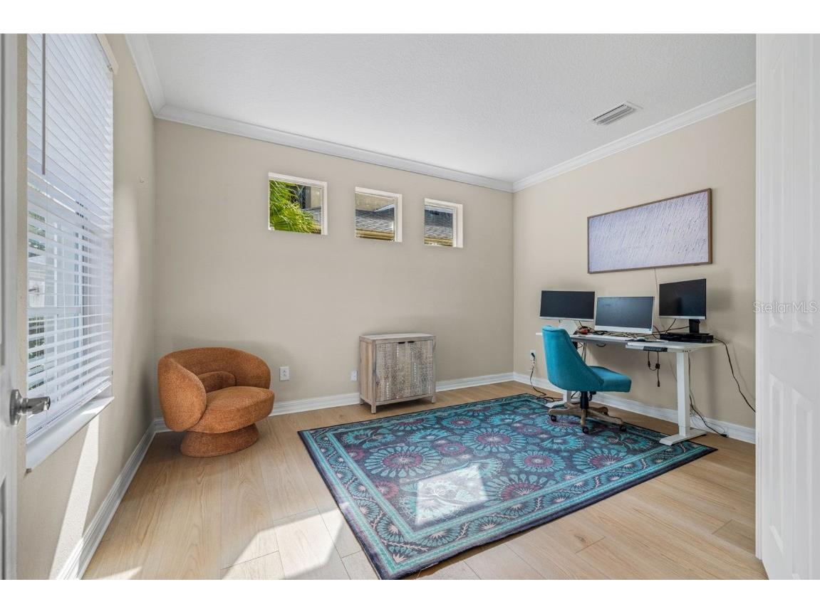 2218 Climbing Ivy Drive Tampa FL 33618 TB8433527 image8