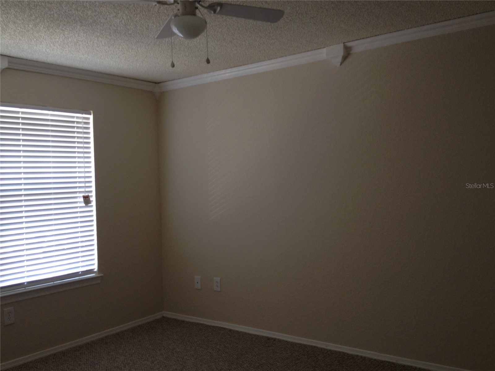 2218 Grand Cayman Court #1321 Kissimmee FL 34741 S5145547 image11