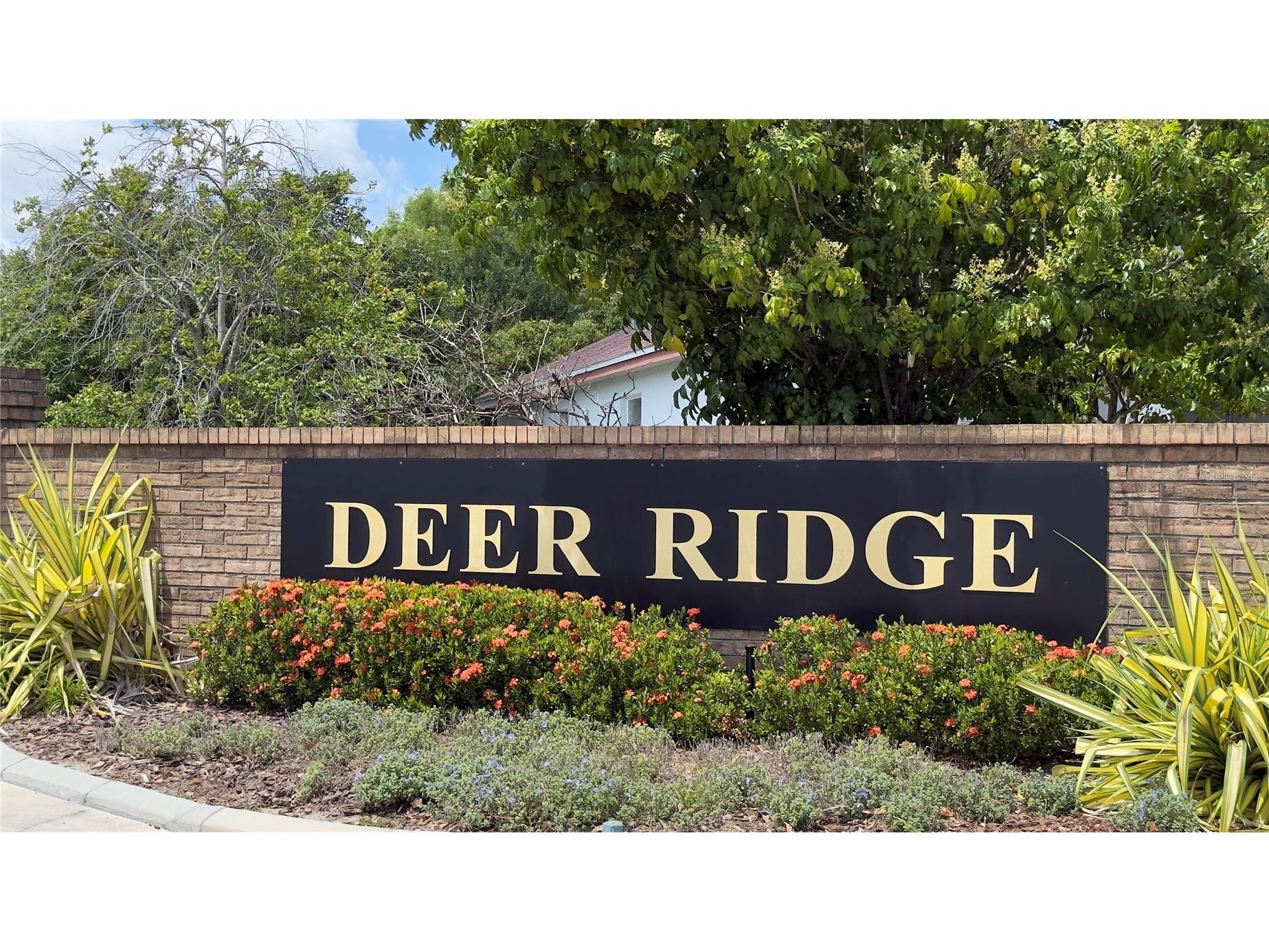 2218 Newt Street Orlando FL 32837 O6404940 image50