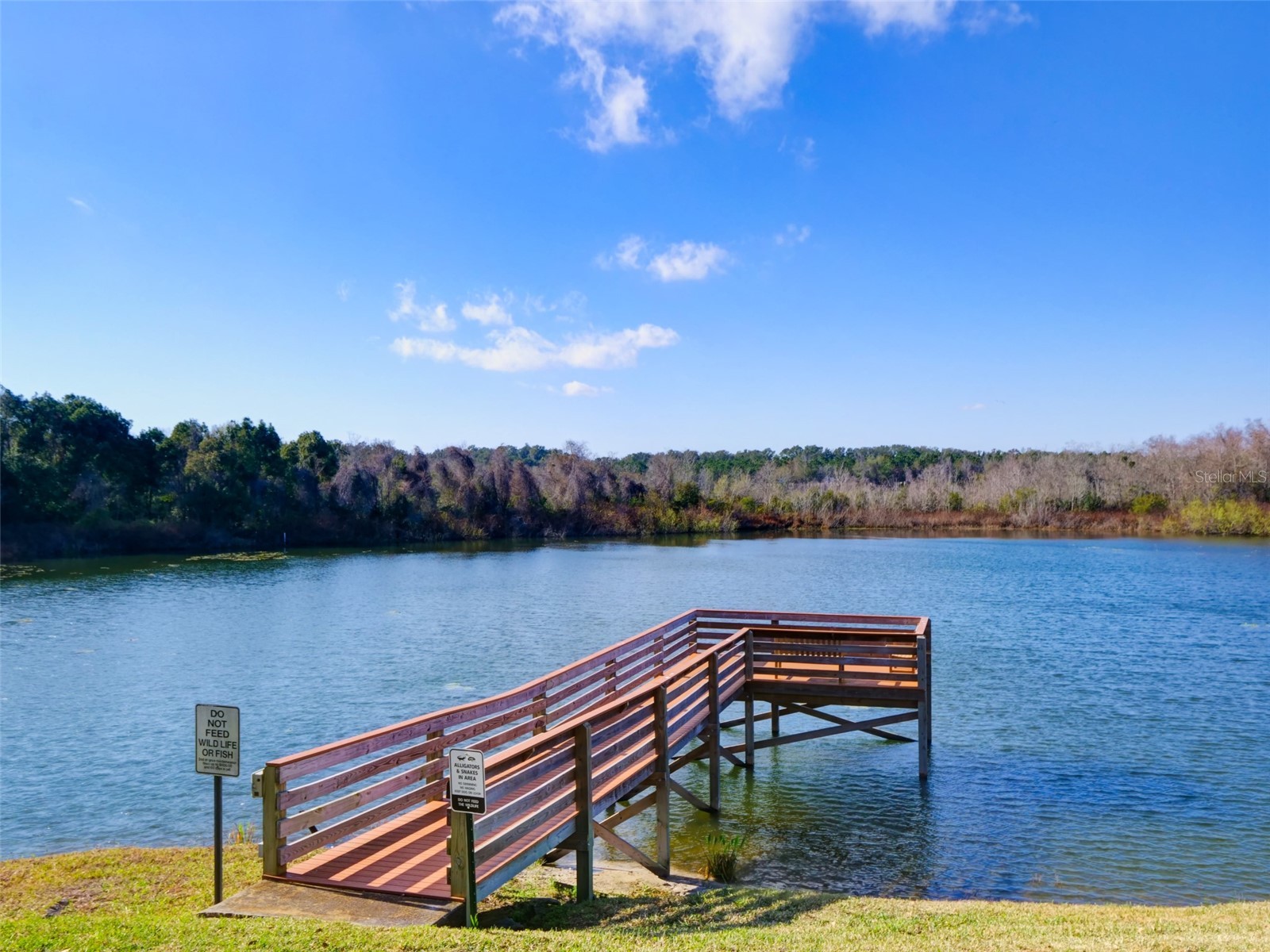 2218 Orangewood Circle #1540 Zellwood FL 32798 O6377366 image37