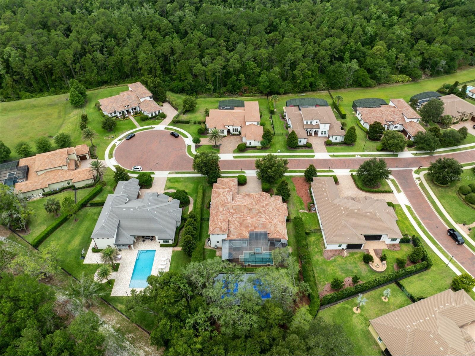 2218 Soaring Eagle Place Lake Mary FL 32746 - WEKIVA RIVER O6416860 image75