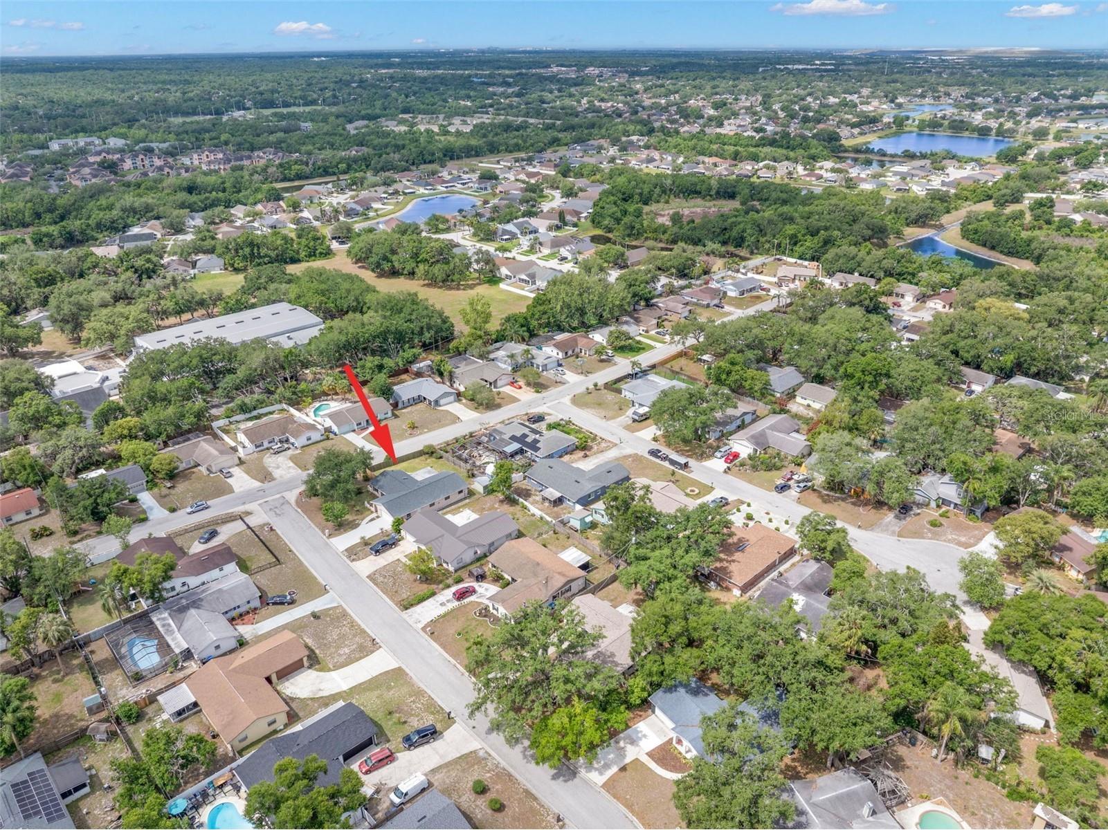 2218 Tanglewood Way Brandon FL 33511 TB8505052 image48