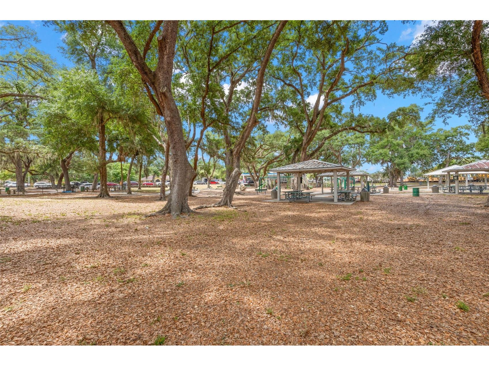 2218 Tanglewood Way Brandon FL 33511 TB8505052 image54
