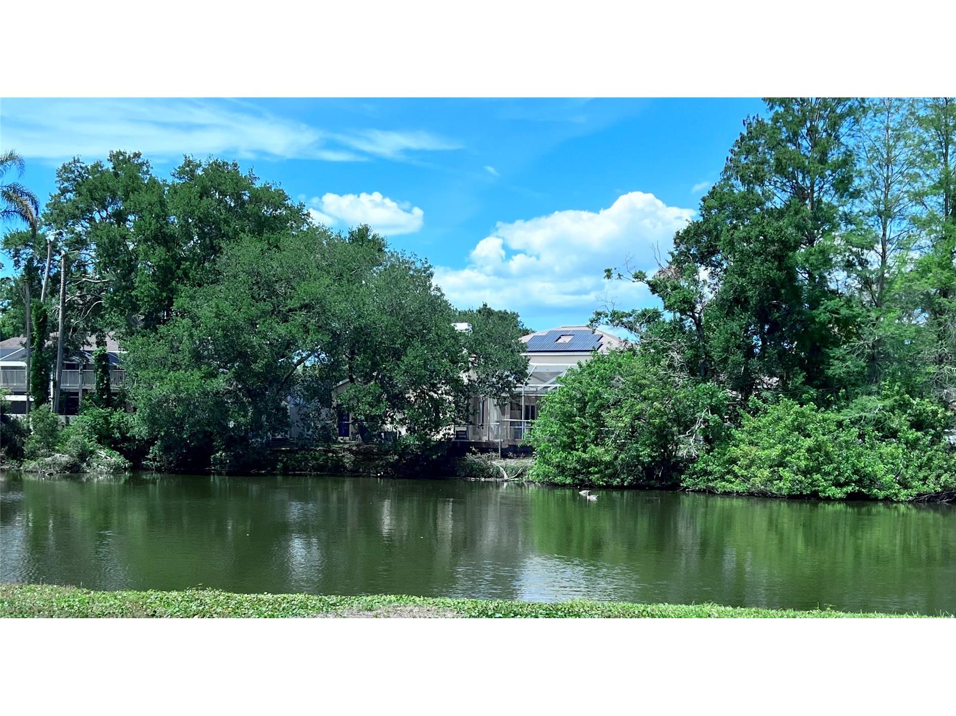 2219 Alice Lane Clearwater FL 33764 TB8501737 image2