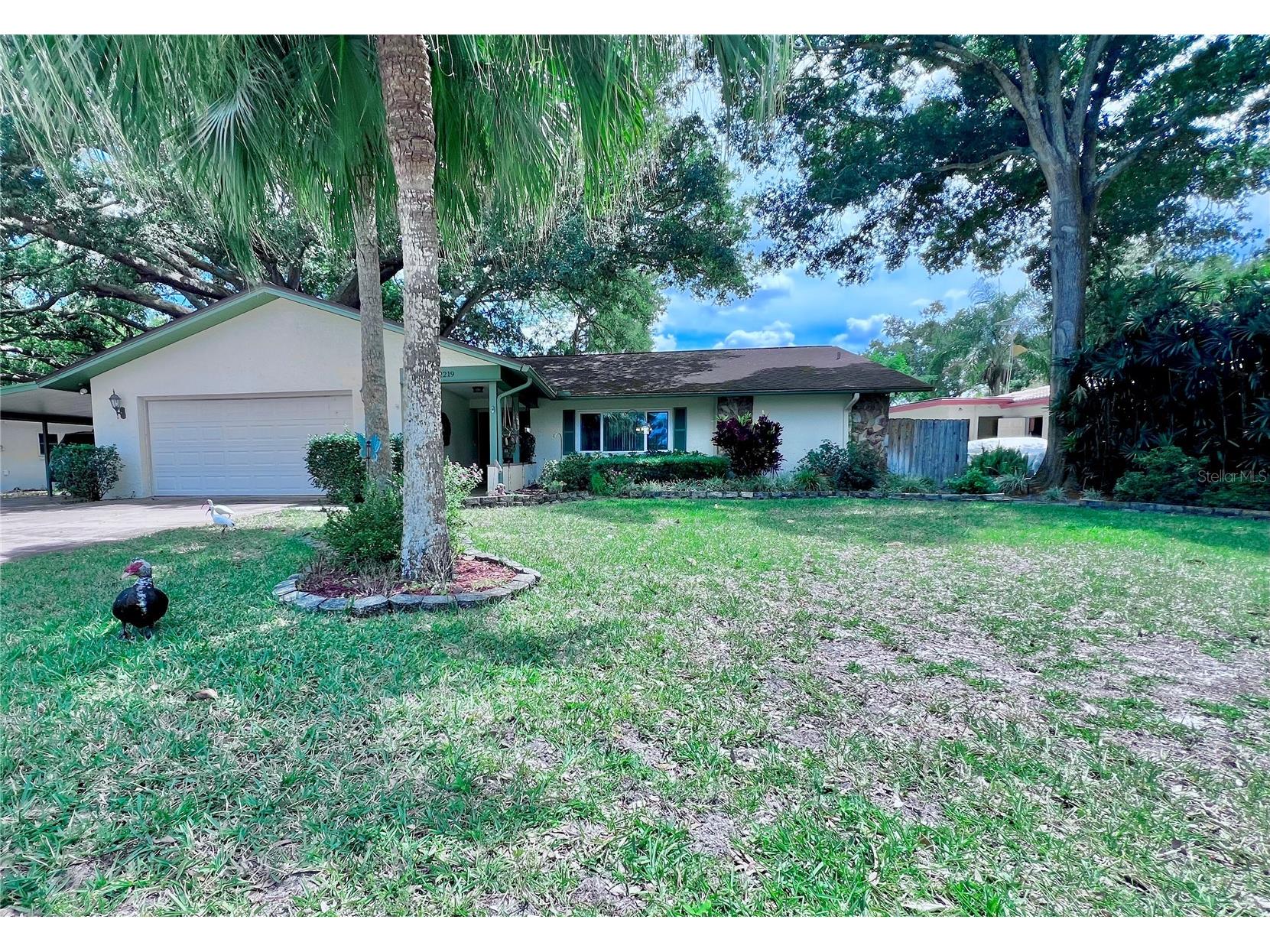 2219 Alice Lane Clearwater FL 33764 TB8501737 image4