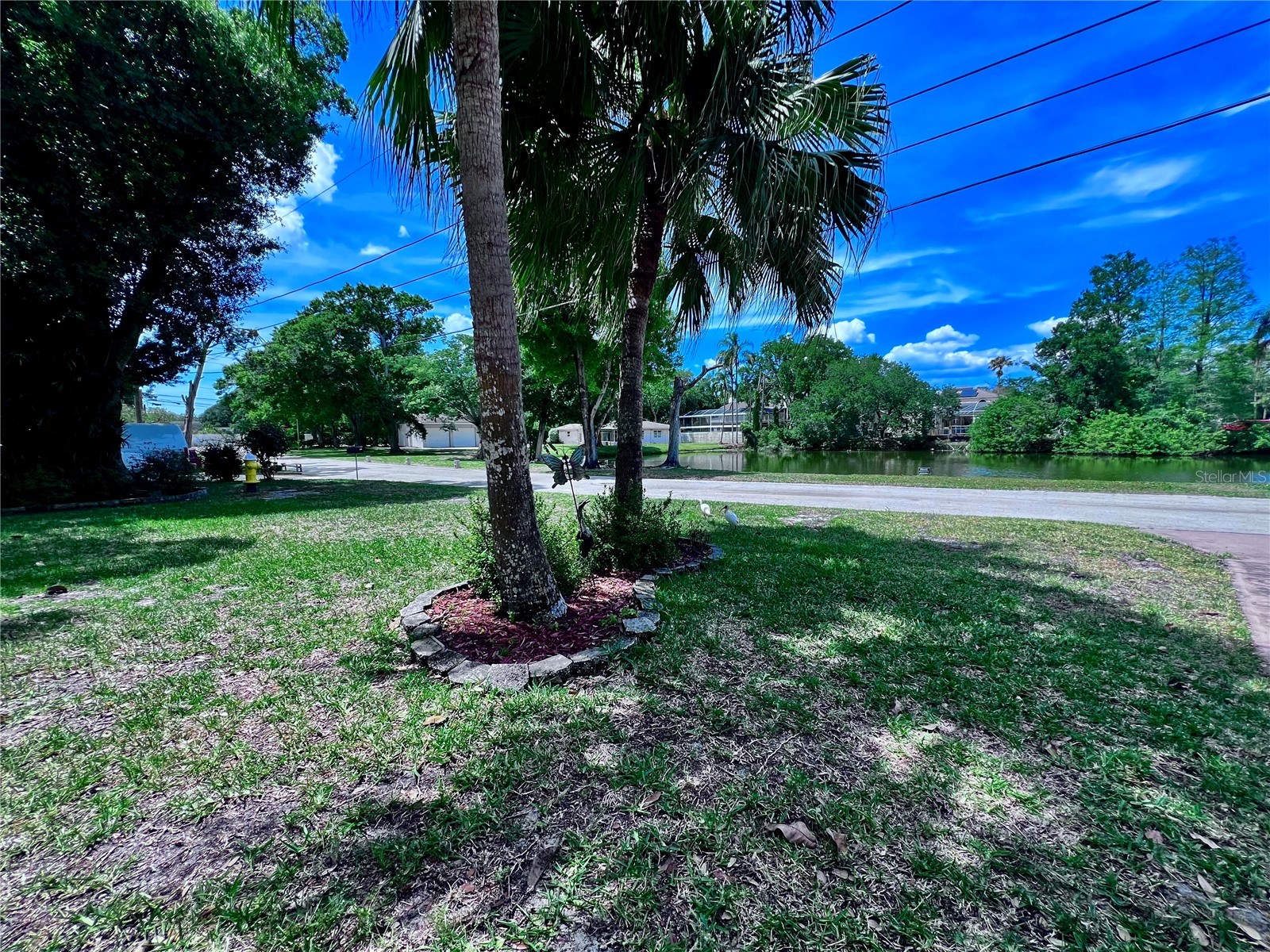 2219 Alice Lane Clearwater FL 33764 TB8501737 image5