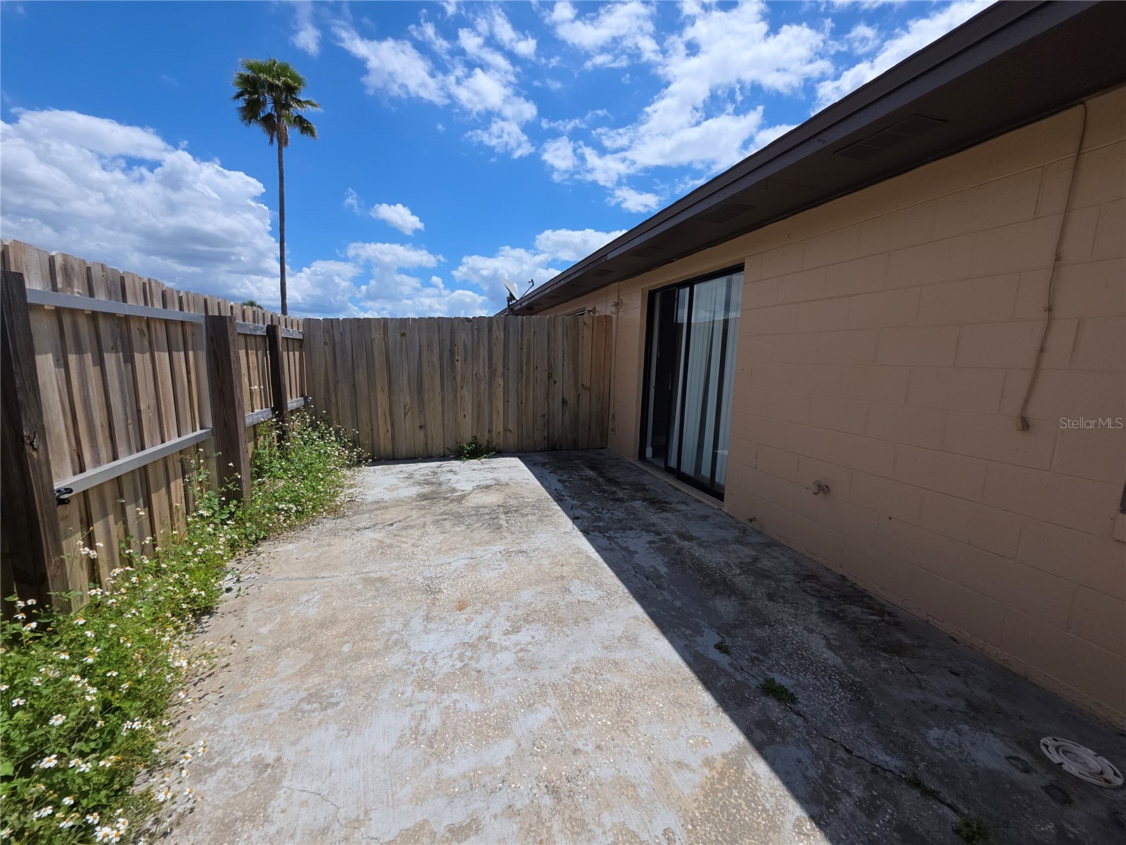 2219 Caribbean Drive S #27 Kissimmee FL 34741 S5148755 image8