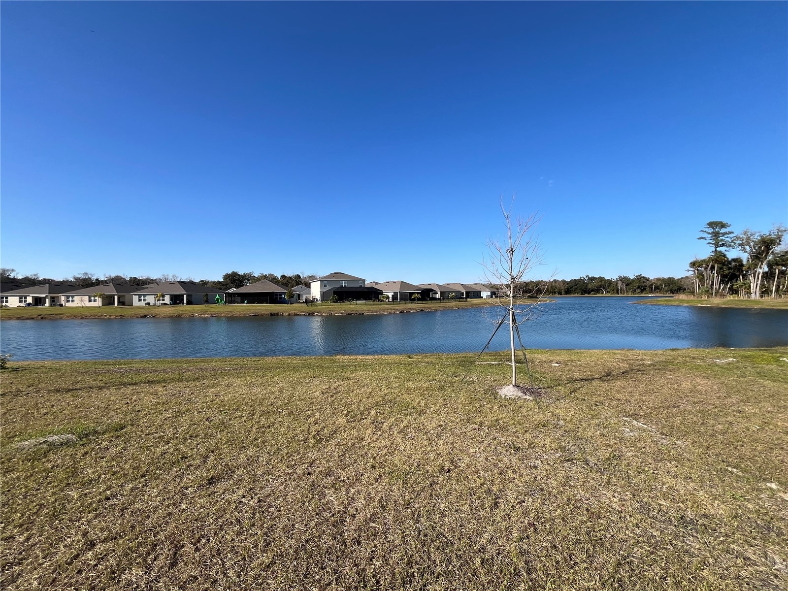 2219 Lake Preserve Circle New Smyrna Beach FL 32168 NS1086904 image20