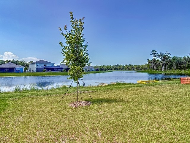 2219 Lake Preserve Circle New Smyrna Beach FL 32168 NS1086904 image8