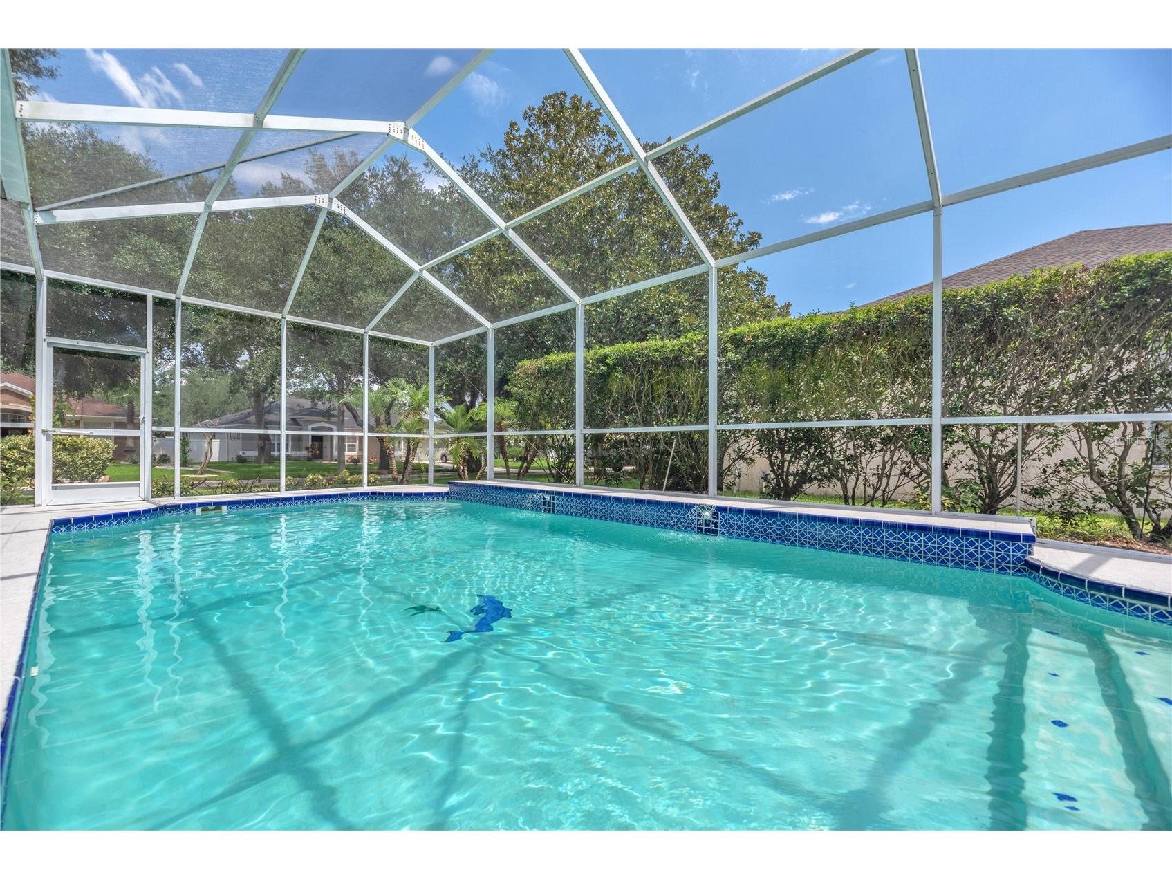 2219 Longmore Circle Valrico FL 33596 TB8526586 image28