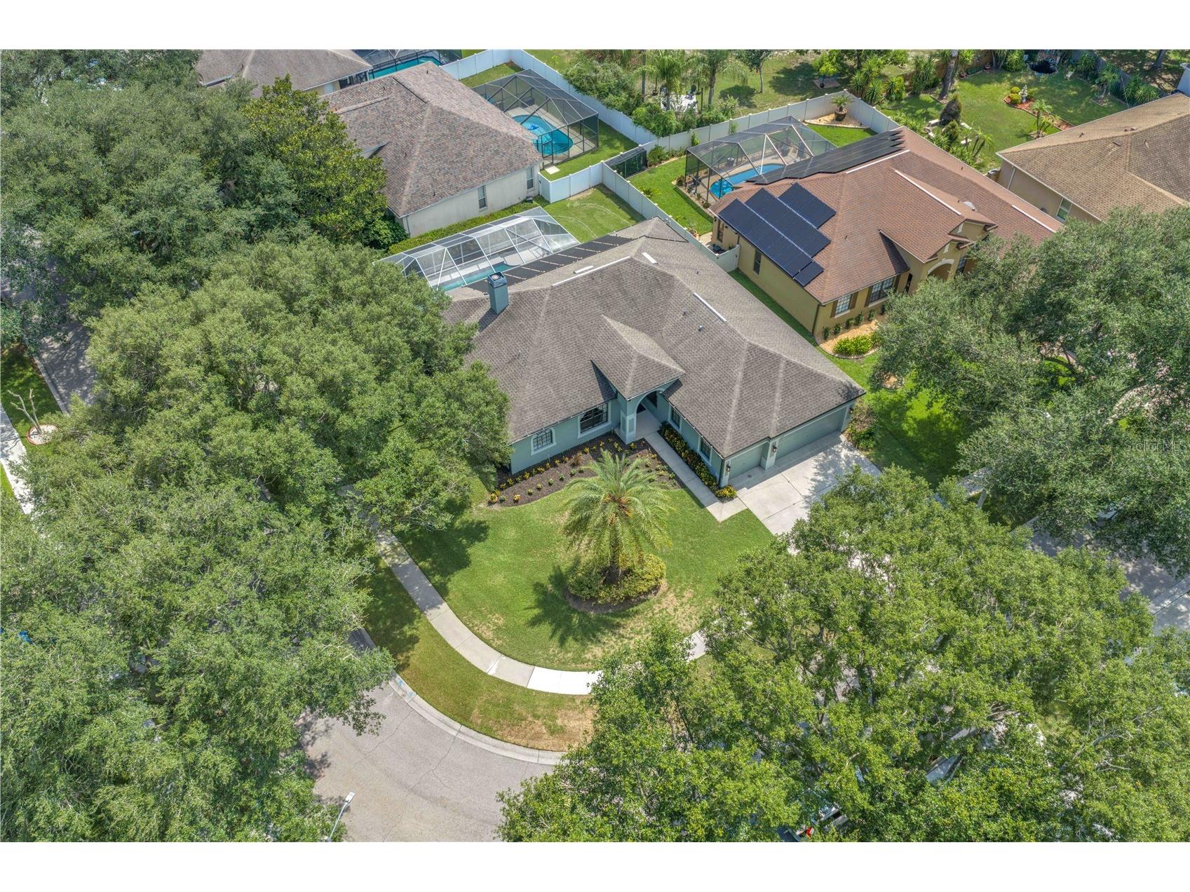 2219 Longmore Circle Valrico FL 33596 TB8526586 image42