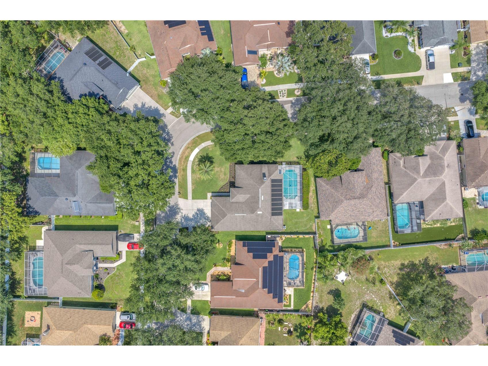 2219 Longmore Circle Valrico FL 33596 TB8526586 image46