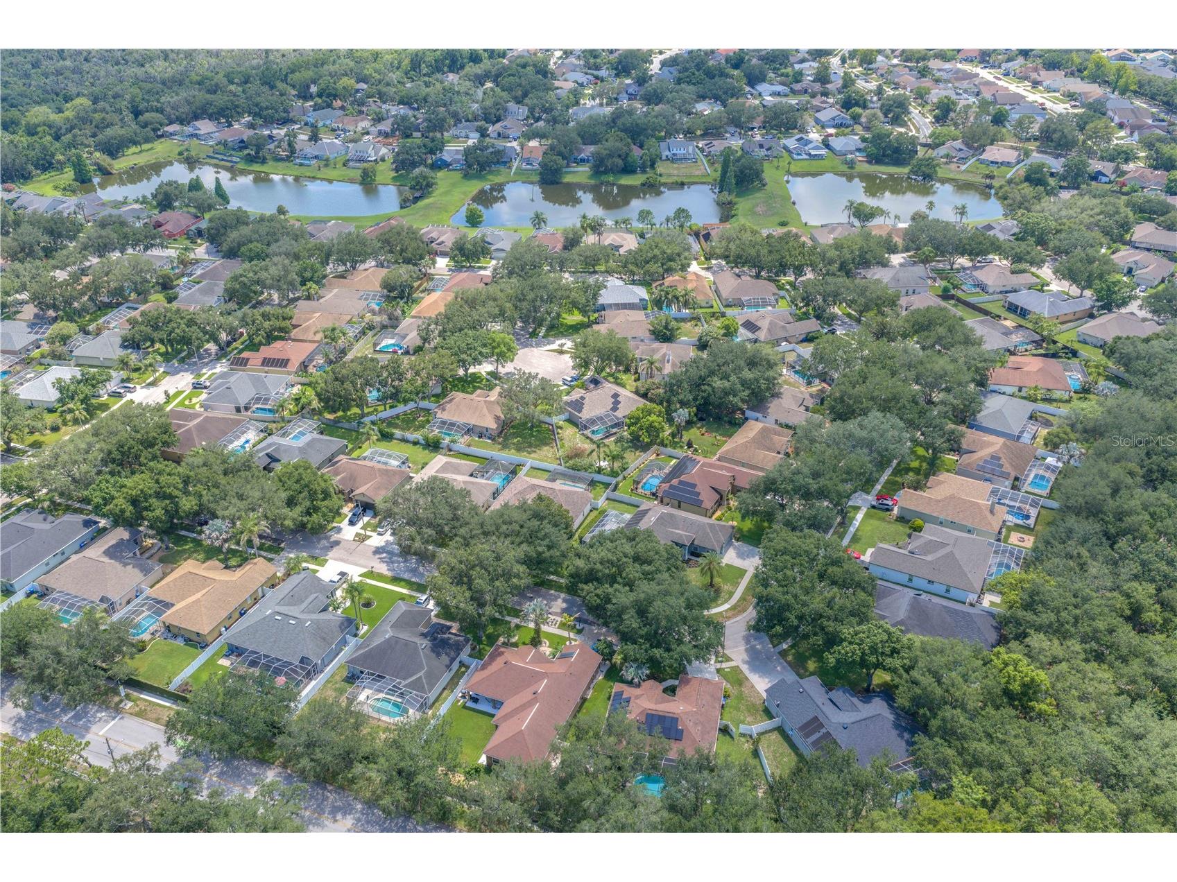 2219 Longmore Circle Valrico FL 33596 TB8526586 image47