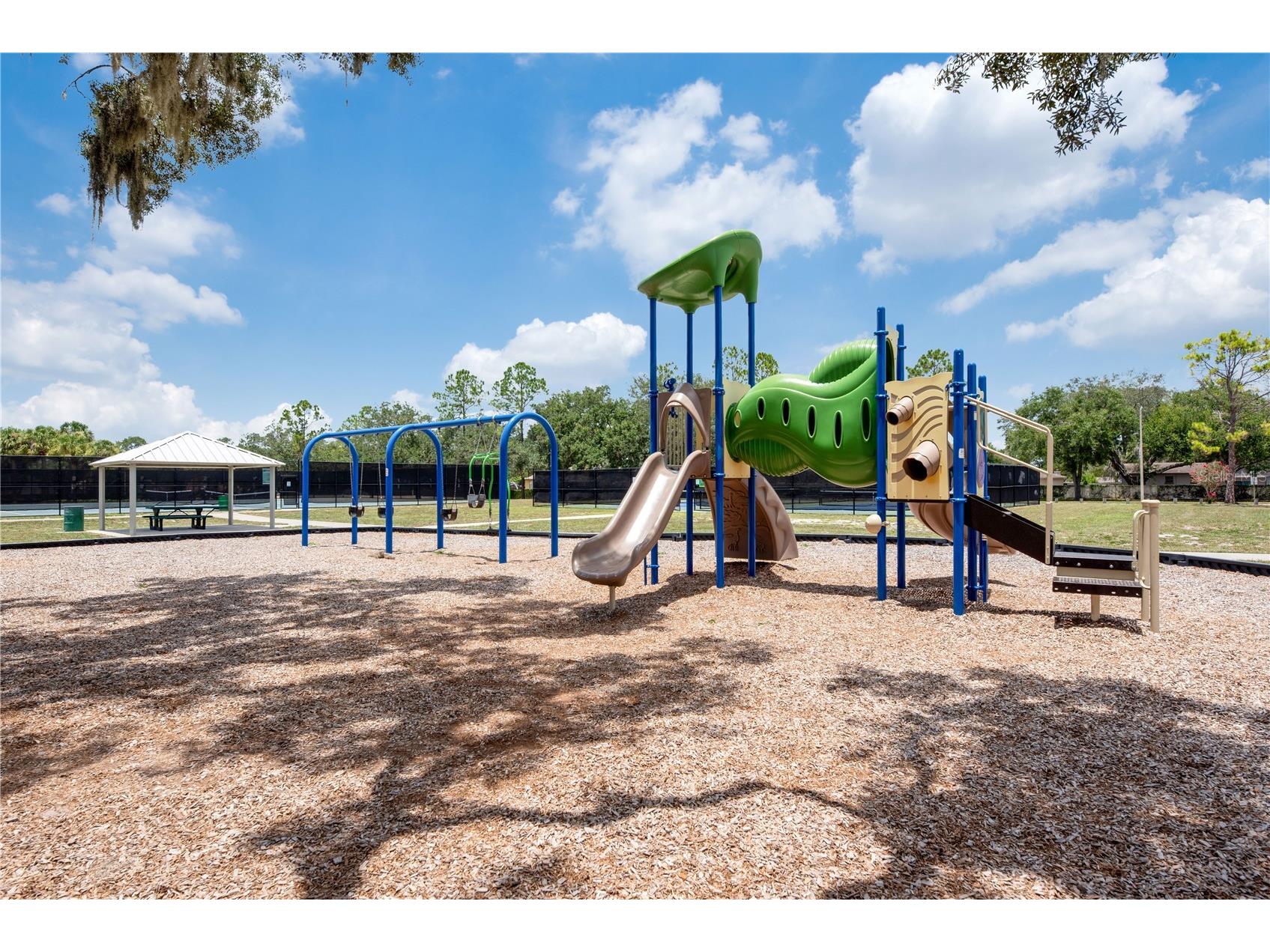 2219 Longmore Circle Valrico FL 33596 TB8526586 image49