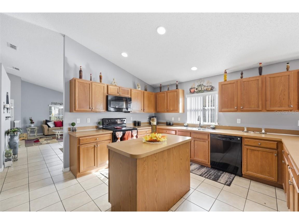 2219 Merry Rd Tavares FL 32778 O6351999 image4