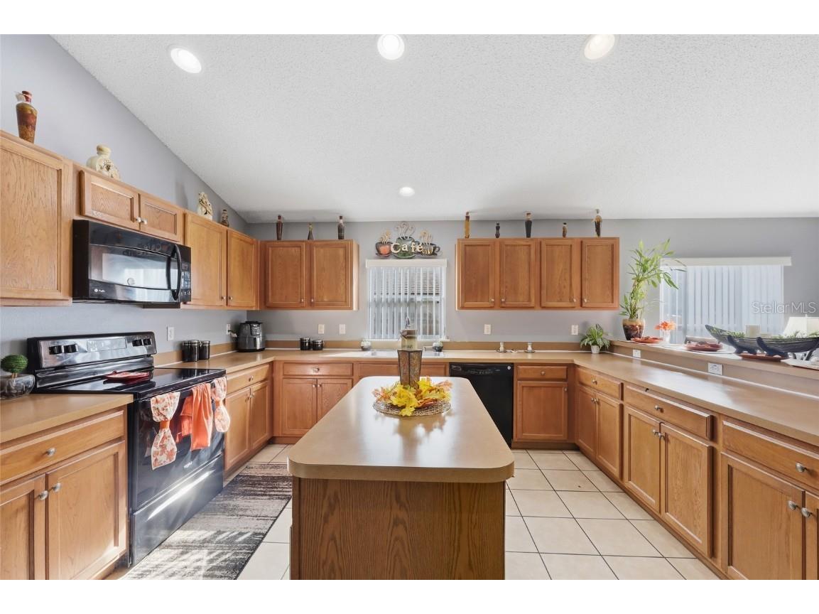 2219 Merry Rd Tavares FL 32778 O6351999 image5