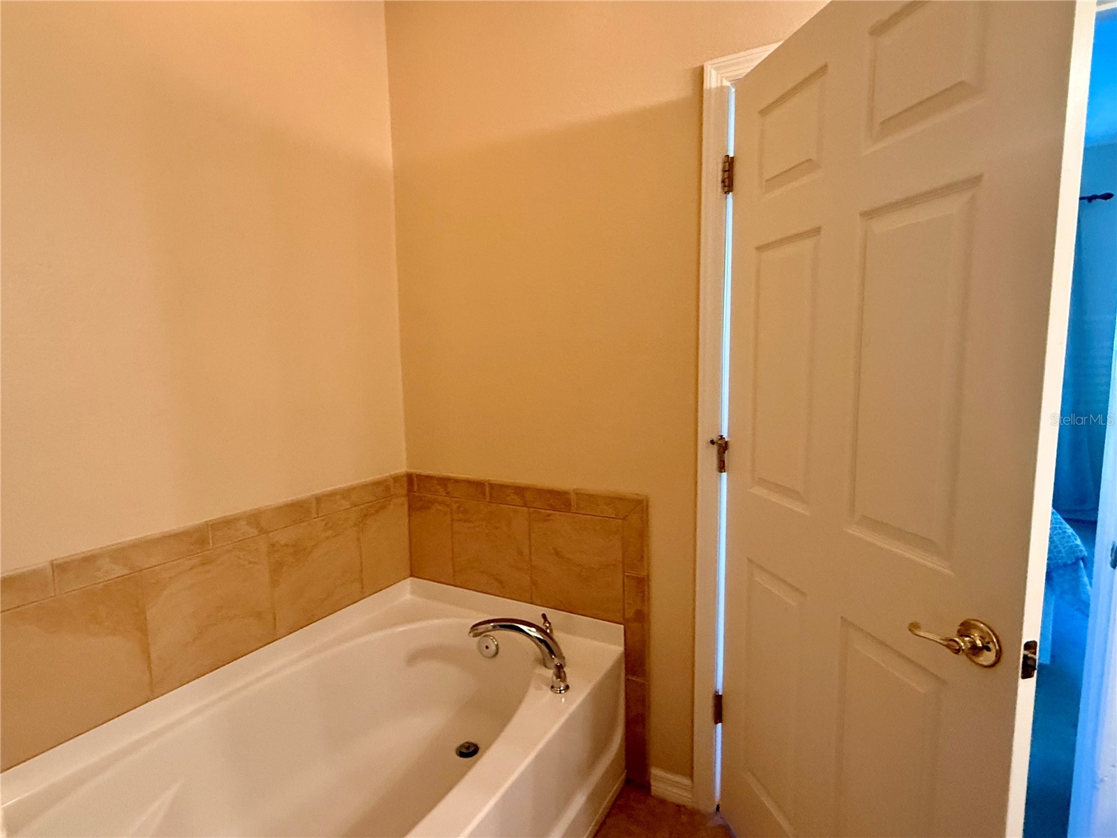 2219 Pico Lane Mount Dora FL 32757 S5143934 image11
