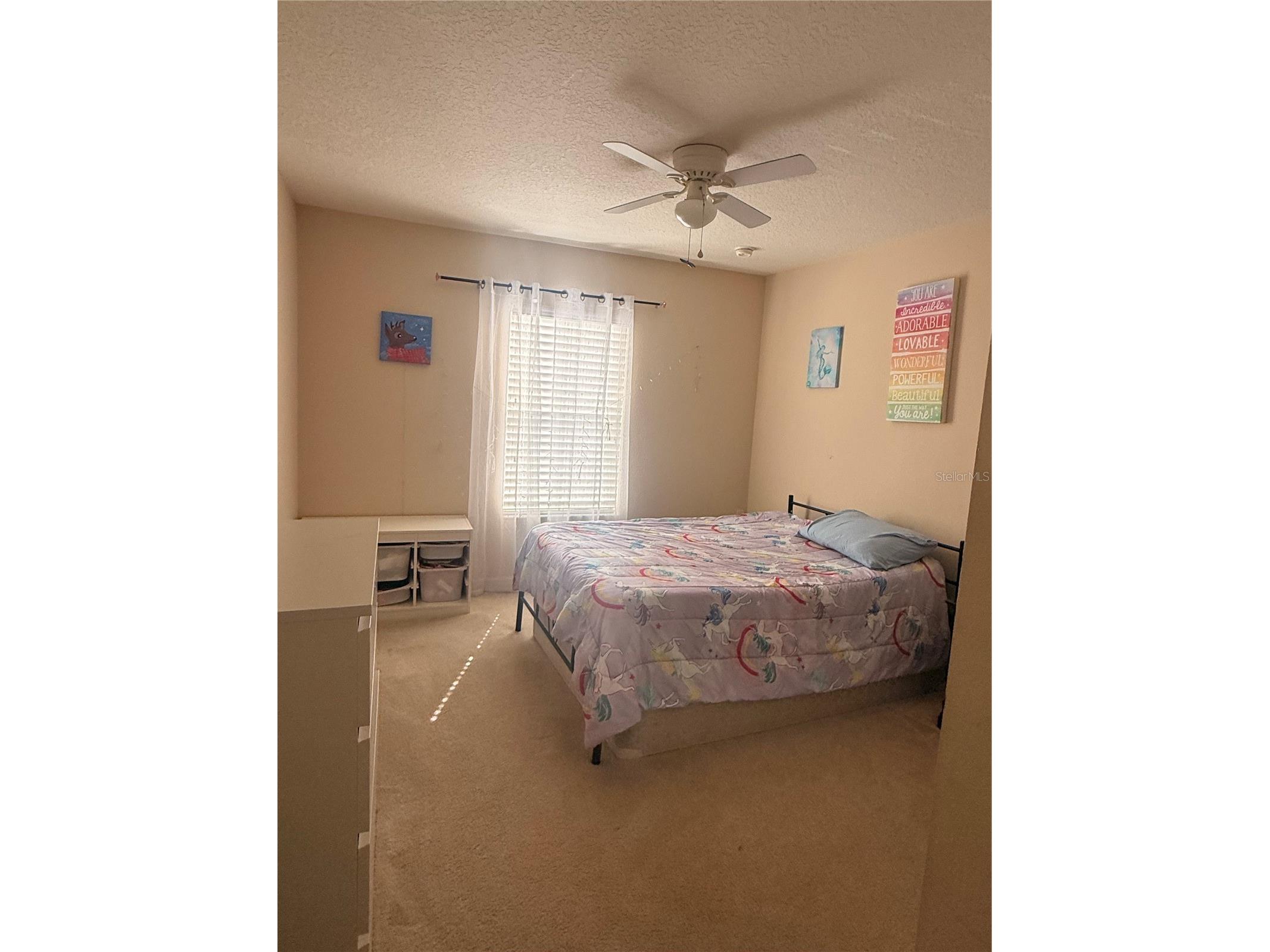 2219 Pico Lane Mount Dora FL 32757 S5143934 image14