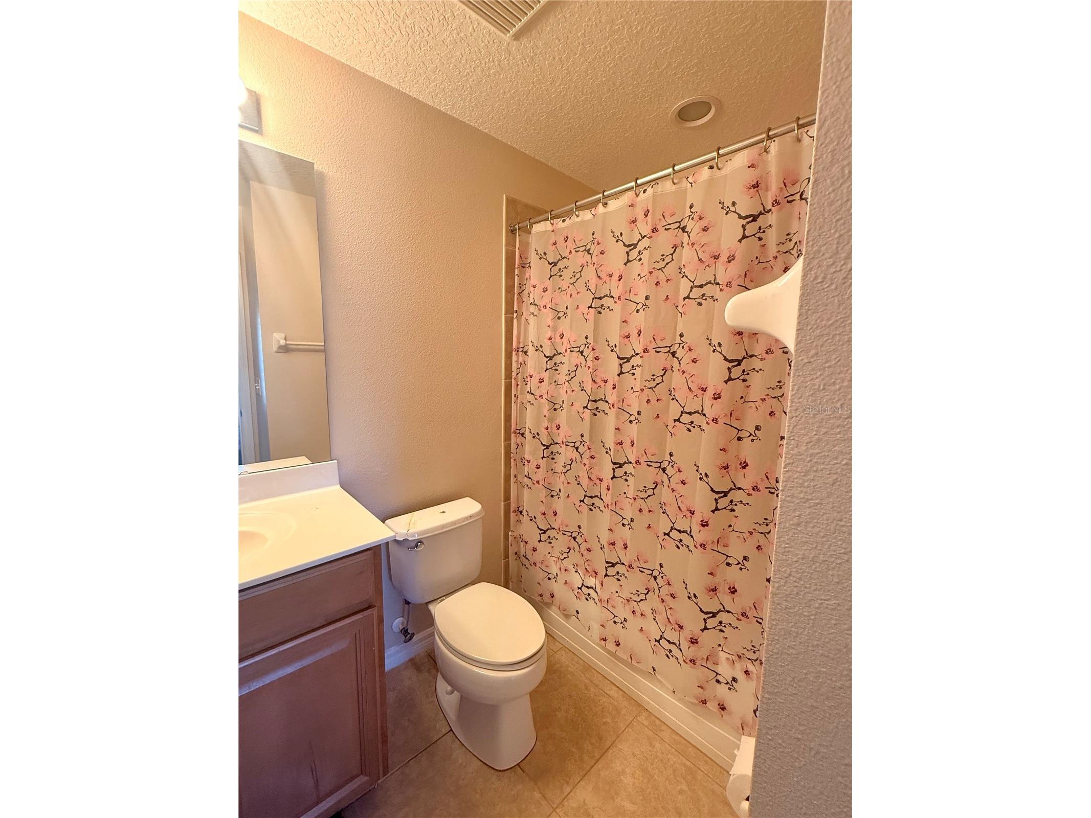 2219 Pico Lane Mount Dora FL 32757 S5143934 image15