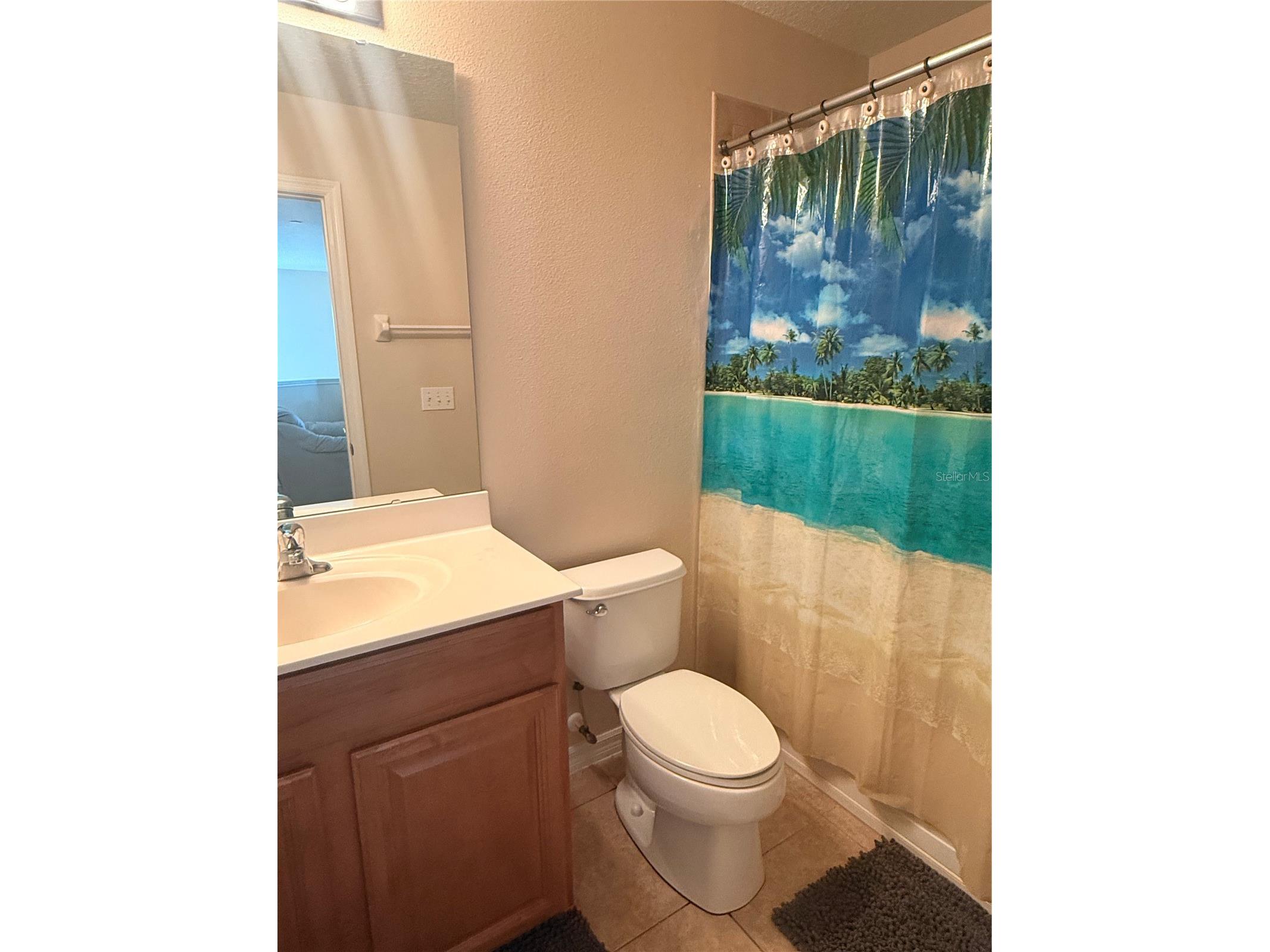 2219 Pico Lane Mount Dora FL 32757 S5143934 image19