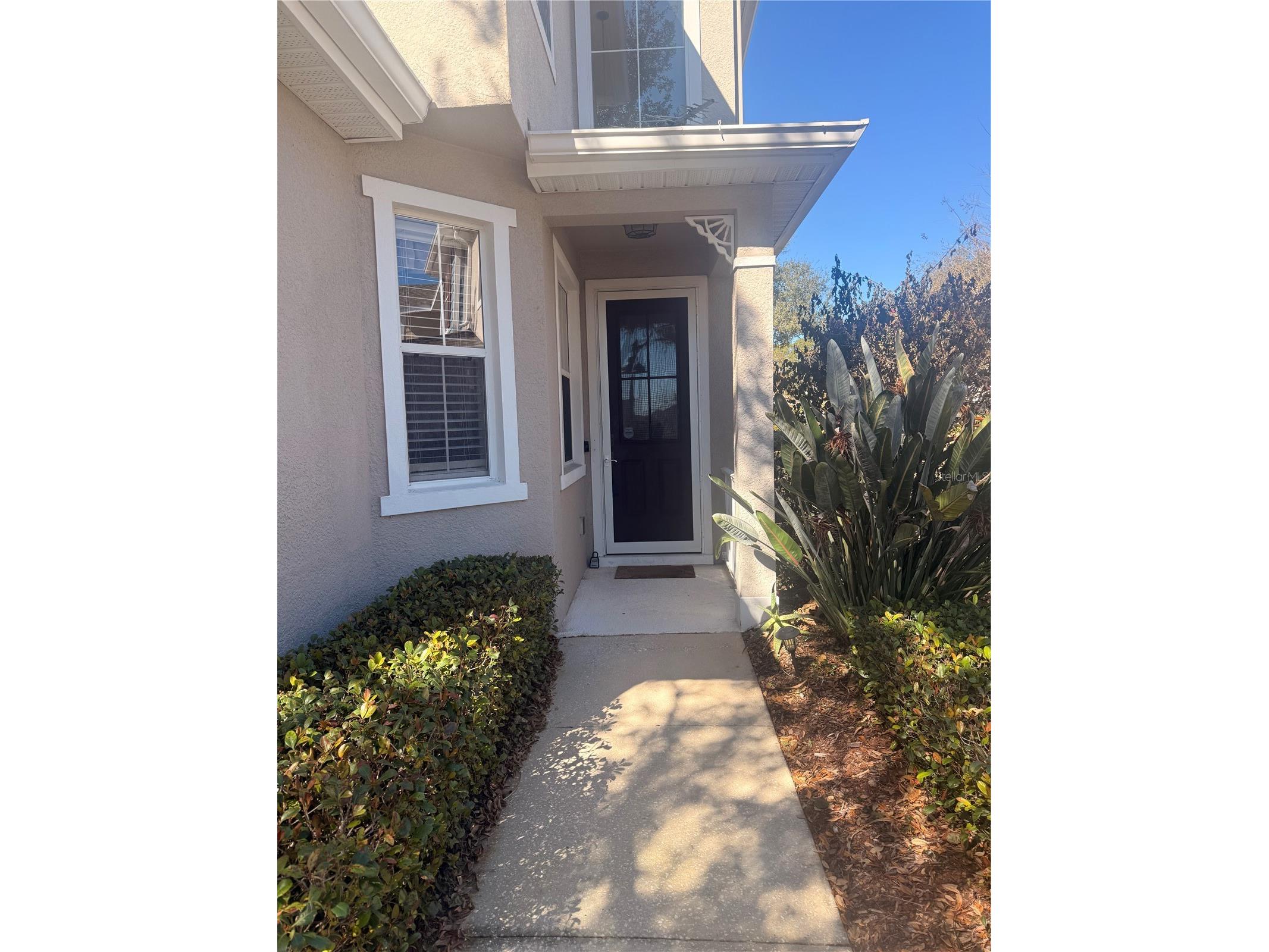 2219 Pico Lane Mount Dora FL 32757 S5143934 image3