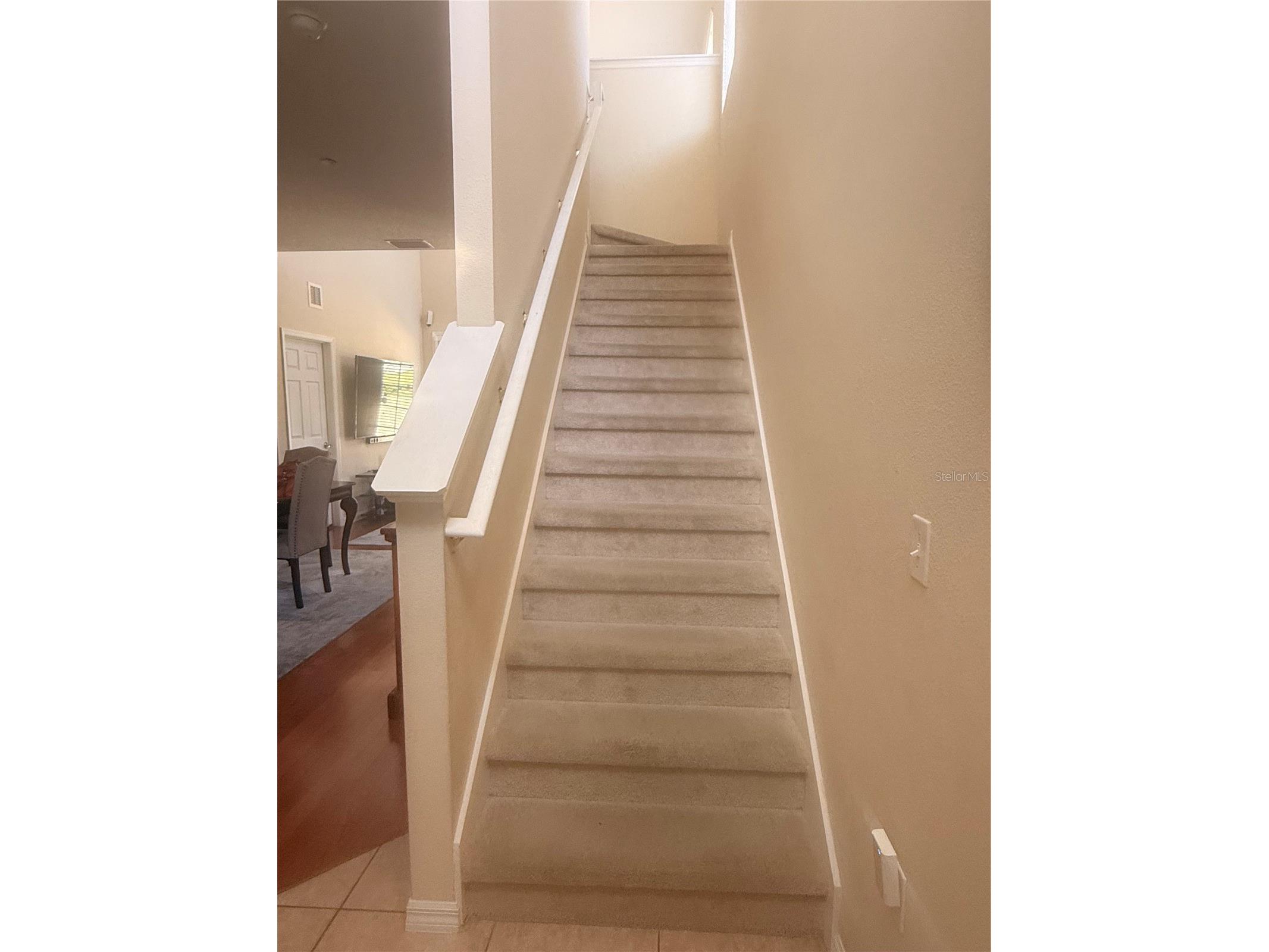 2219 Pico Lane Mount Dora FL 32757 S5143934 image4