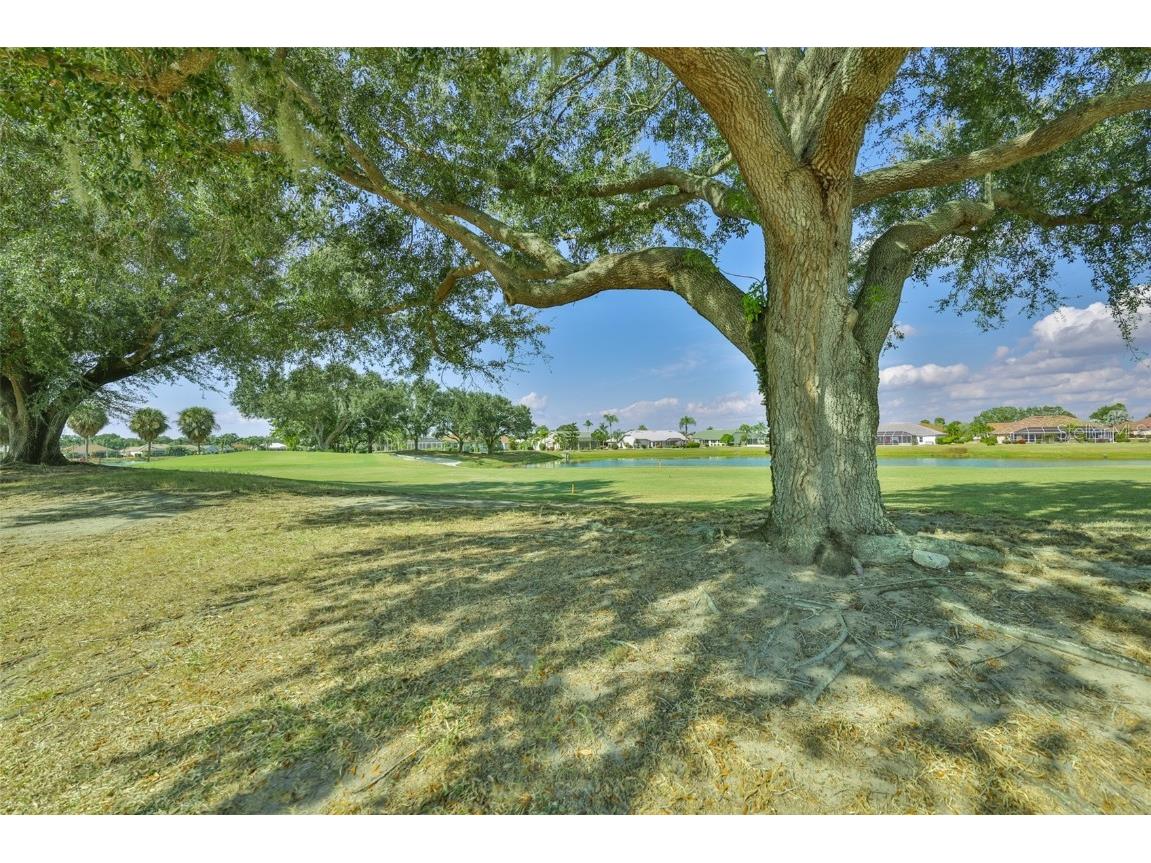 2219 Platinum Drive Sun City Center FL 33573 TB8447494 image23