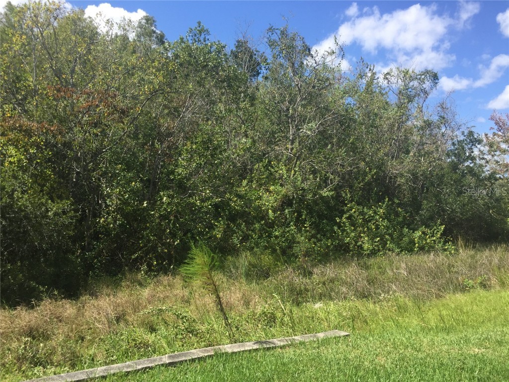 2219 San Vittorino Circle #105 Kissimmee FL 34741 O6364272 image16