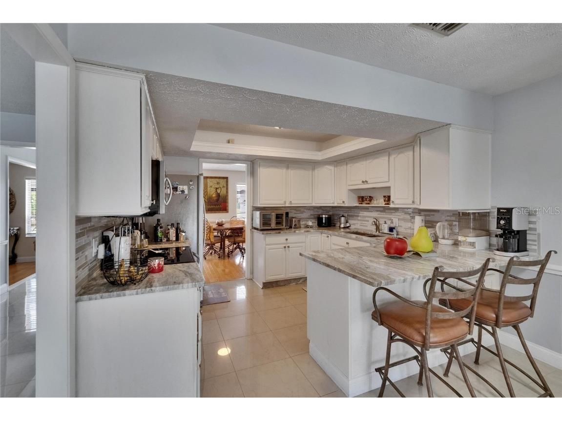 2219 Summit View Drive Valrico FL 33596 TB8383666 image21