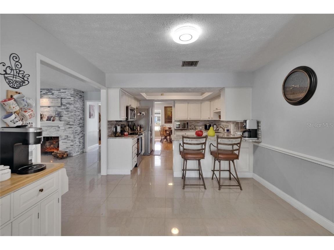 2219 Summit View Drive Valrico FL 33596 TB8383666 image23