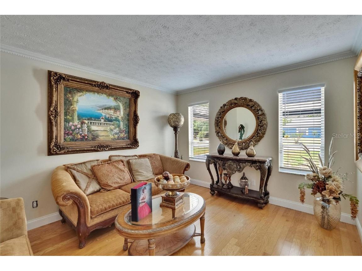 2219 Summit View Drive Valrico FL 33596 TB8383666 image3