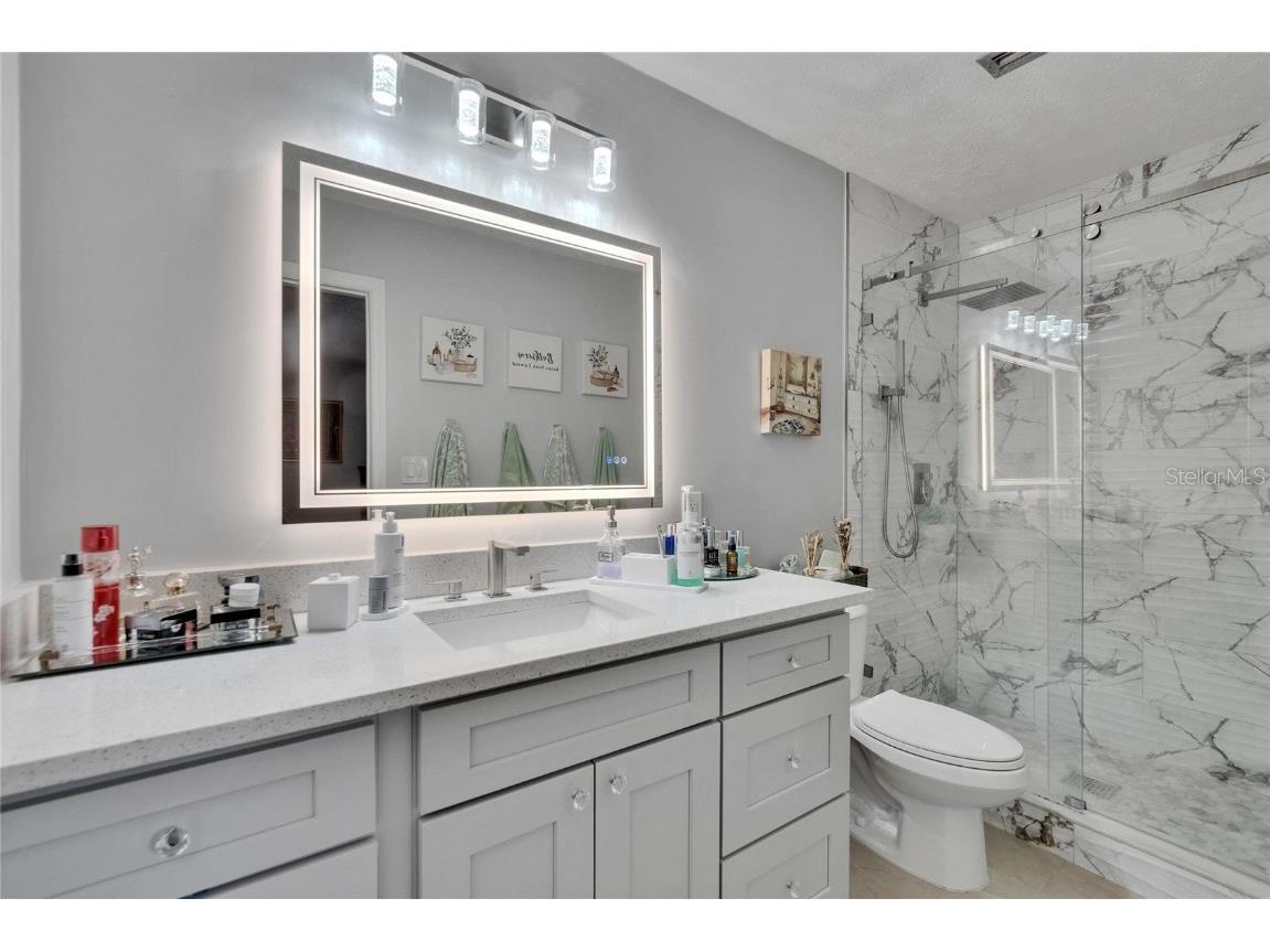 2219 Summit View Drive Valrico FL 33596 TB8383666 image34