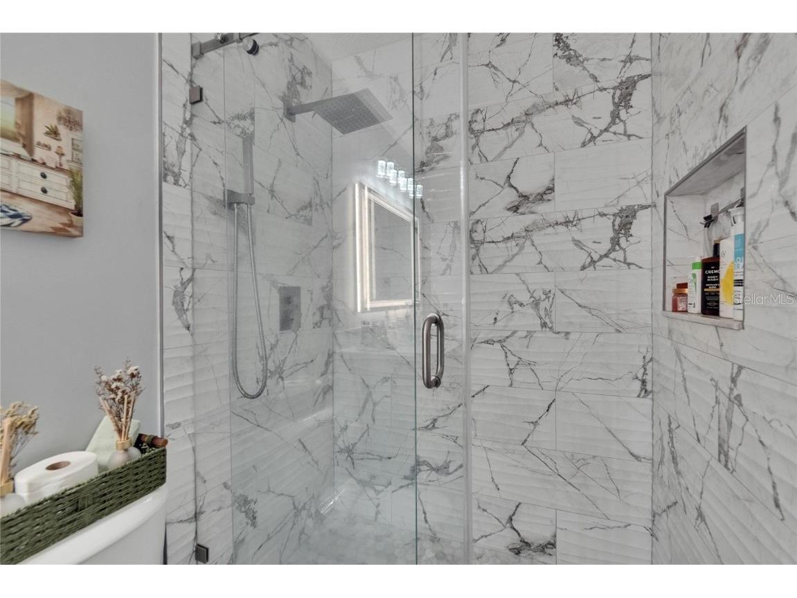 2219 Summit View Drive Valrico FL 33596 TB8383666 image35