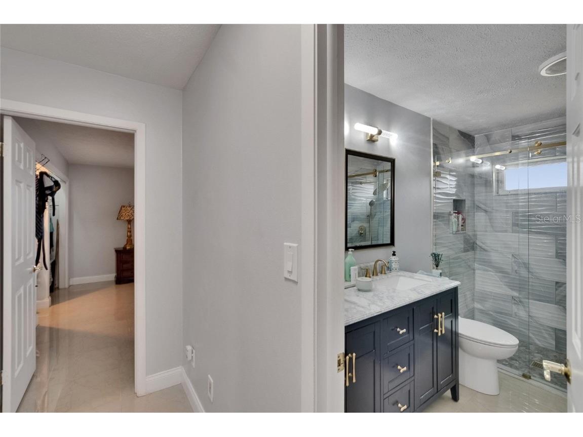 2219 Summit View Drive Valrico FL 33596 TB8383666 image36