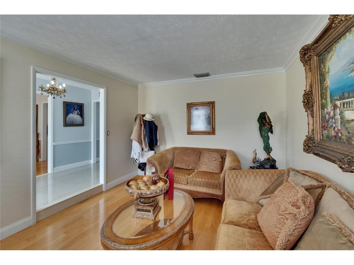 2219 Summit View Drive Valrico FL 33596 TB8383666 image4