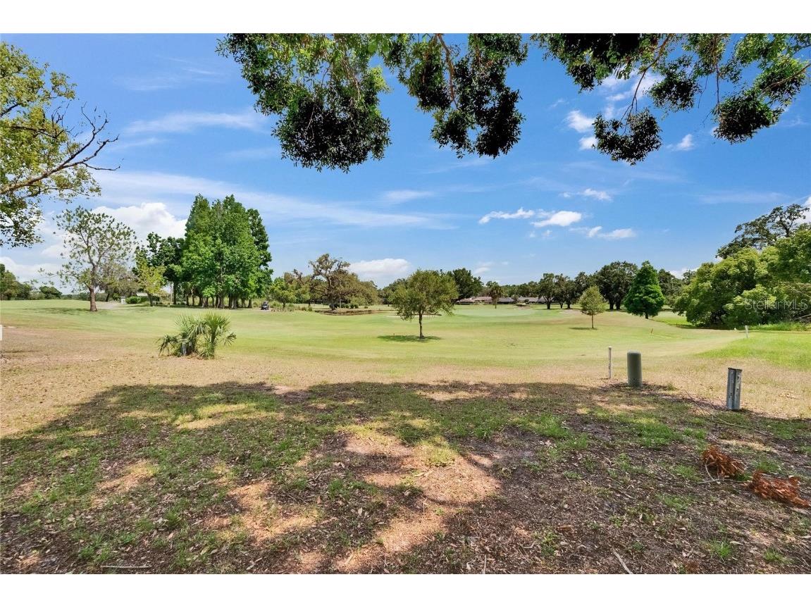 2219 Summit View Drive Valrico FL 33596 TB8383666 image57