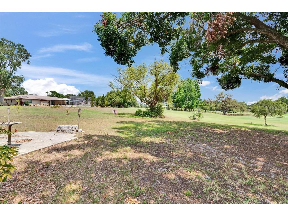 2219 Summit View Drive Valrico FL 33596 TB8383666 image62