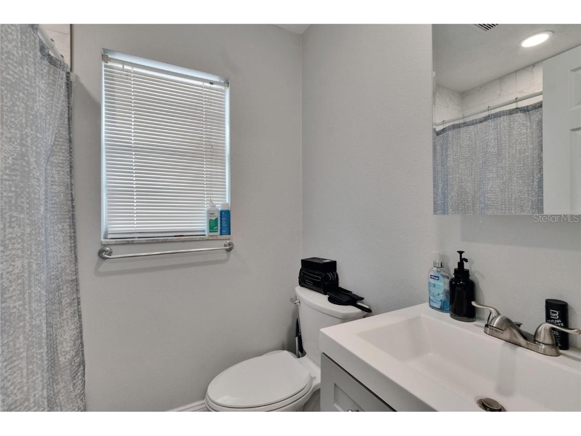 2219 Summit View Drive Valrico FL 33596 TB8383666 image68