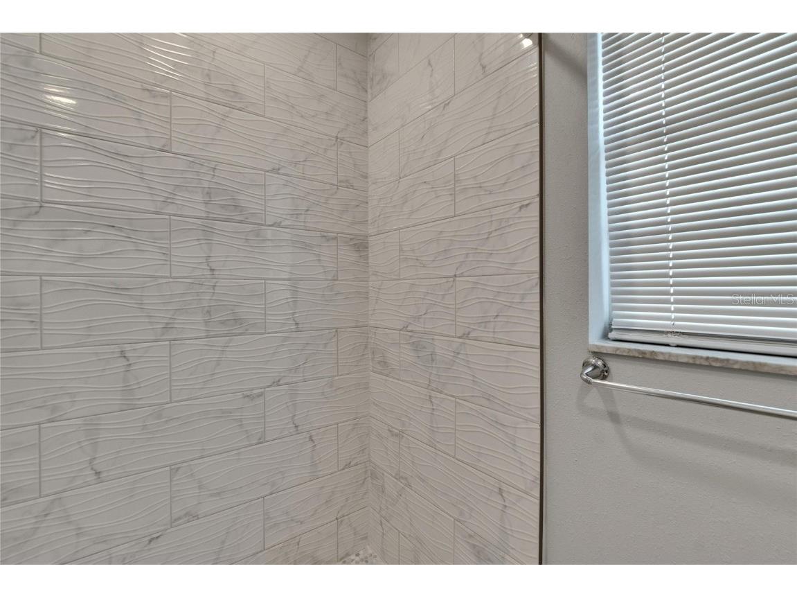 2219 Summit View Drive Valrico FL 33596 TB8383666 image69