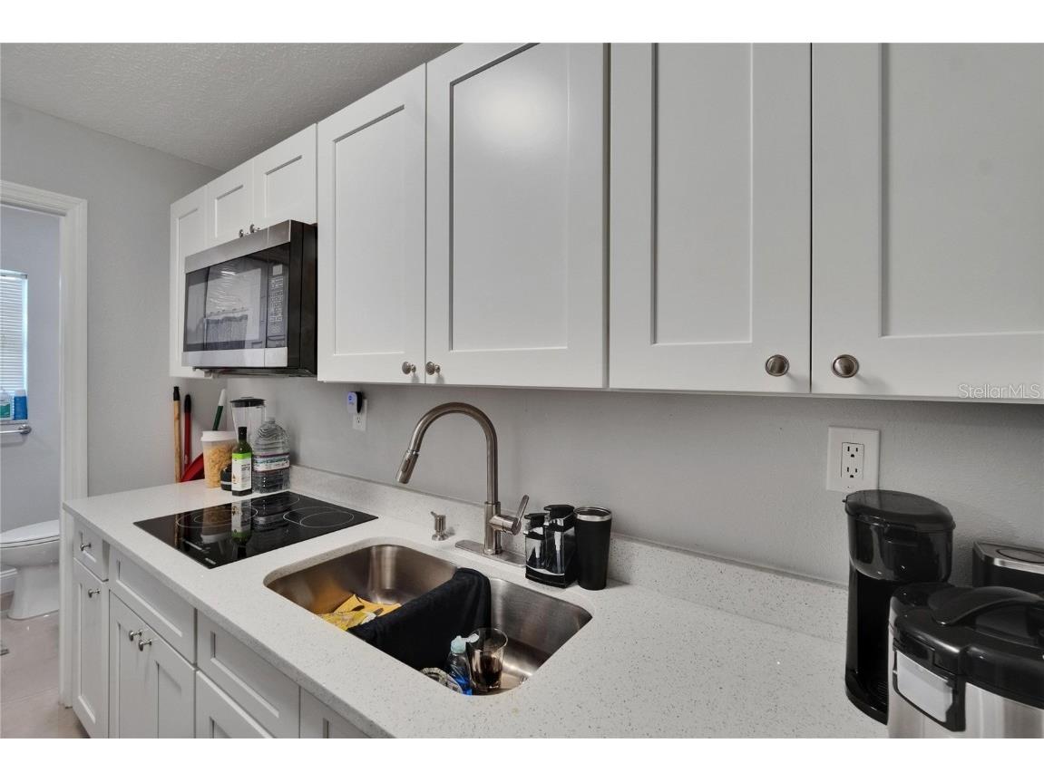 2219 Summit View Drive Valrico FL 33596 TB8383666 image71