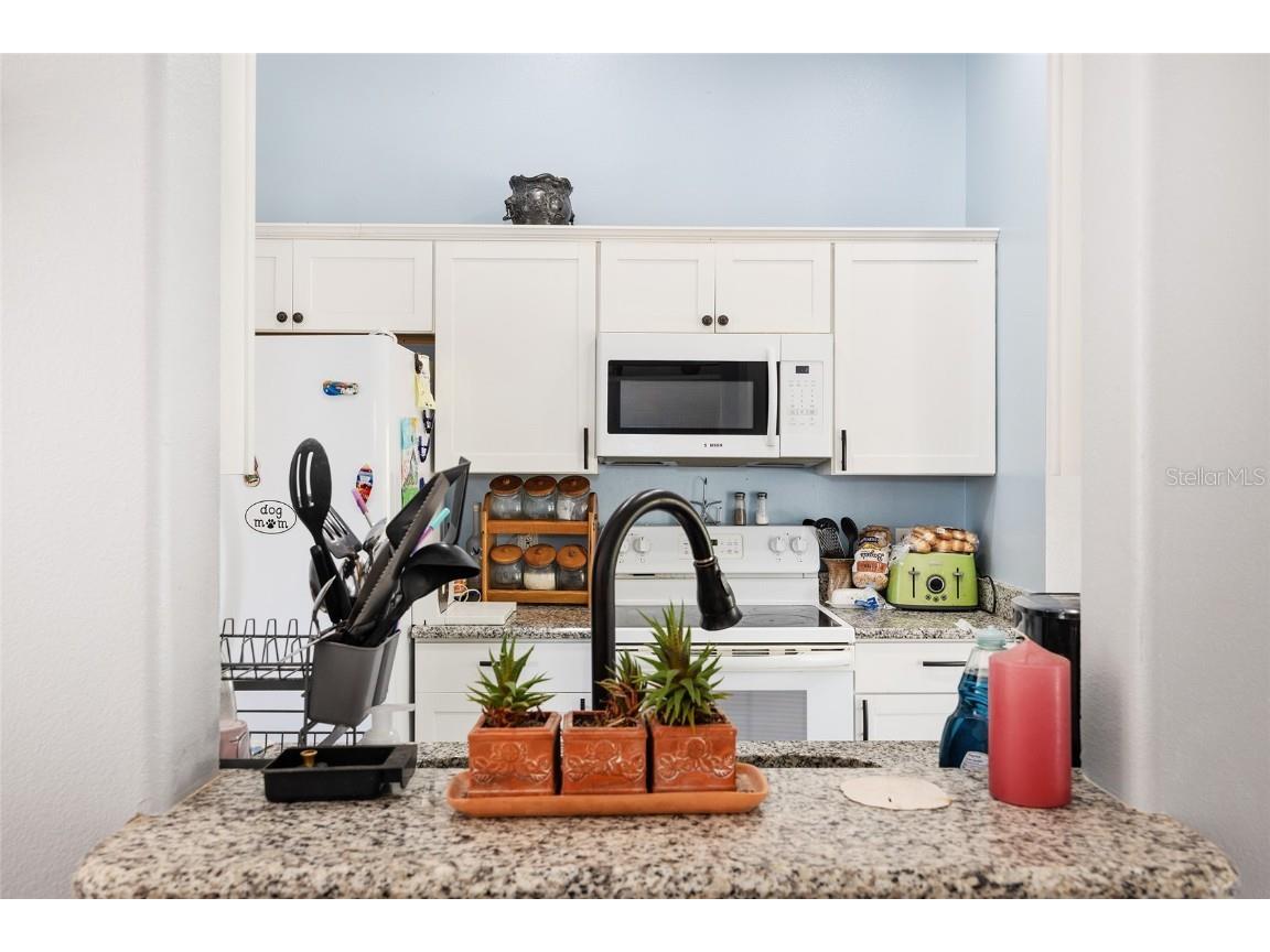 2219 SW 146th Loop Ocala FL 34473 OM714541 image13