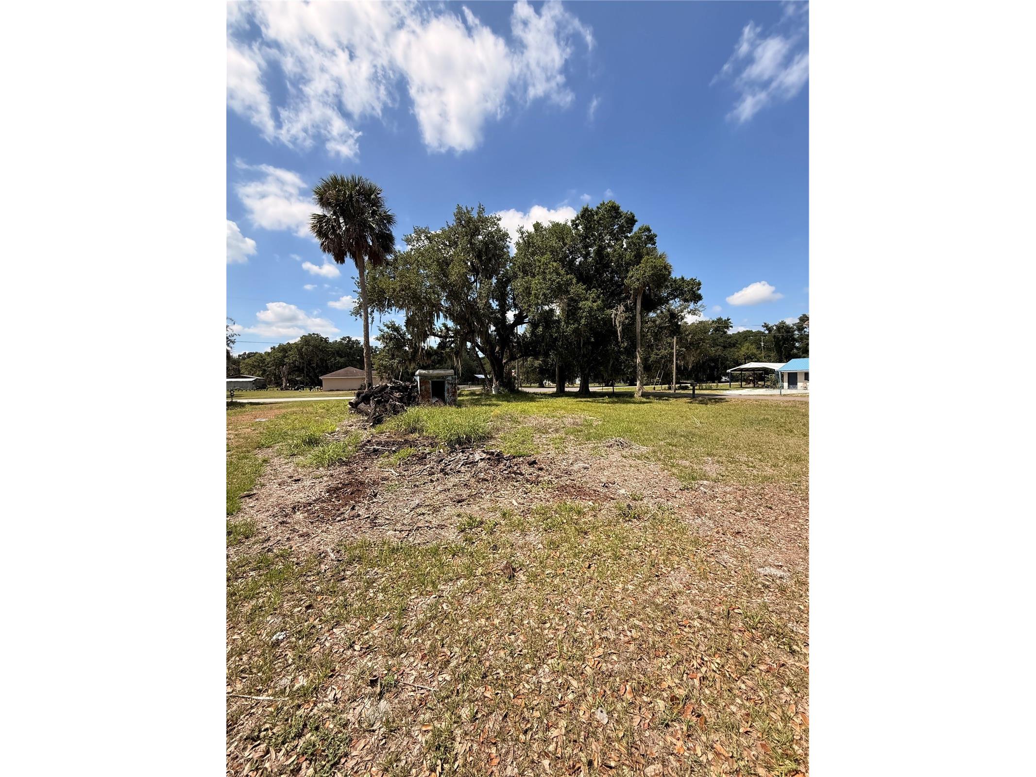 222 4th Street W Zolfo Springs FL 33890 P4938675 image7