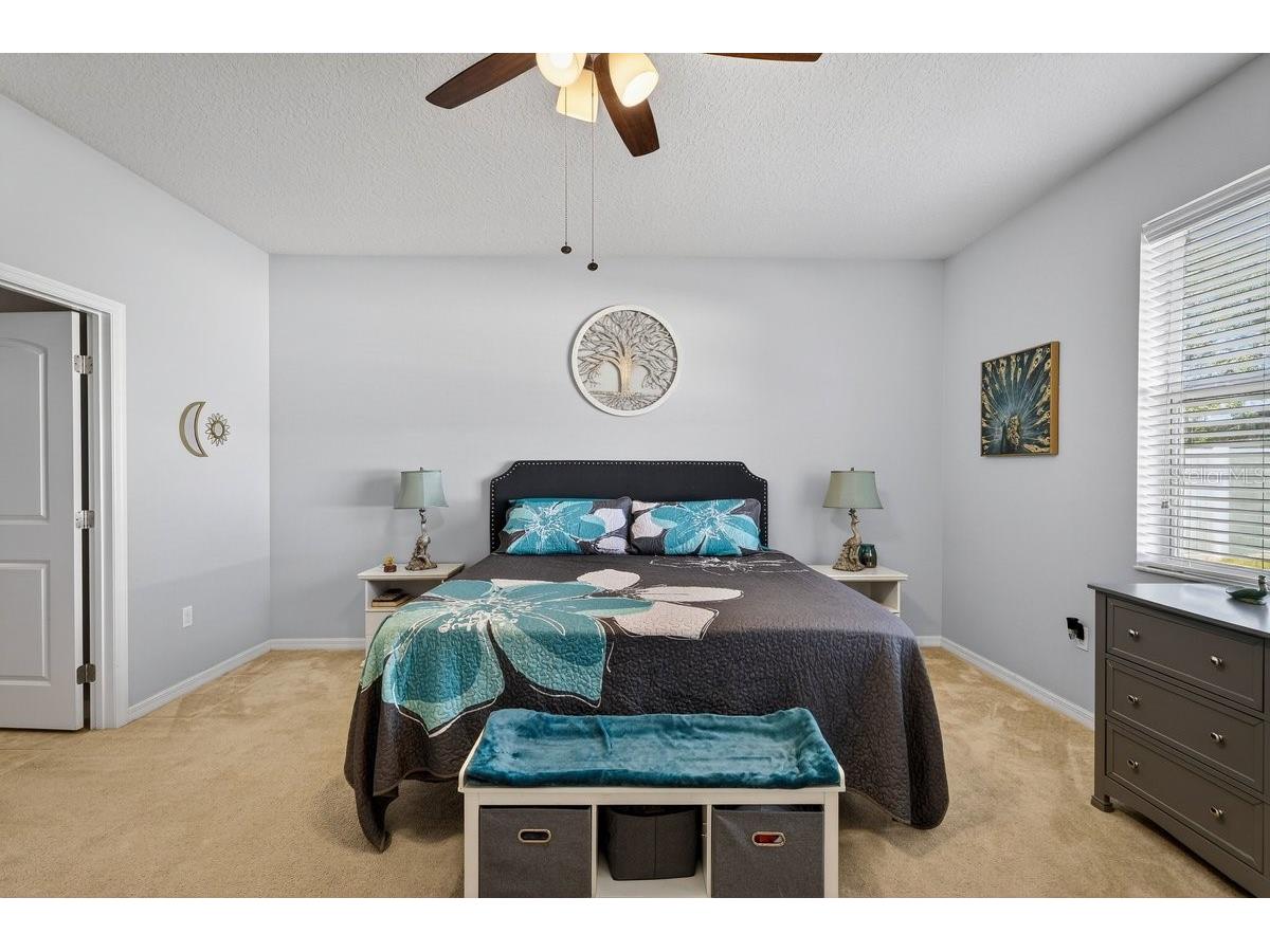 222 Bird Of Paradise Drive Palm Coast FL 32137 V4946878 image20